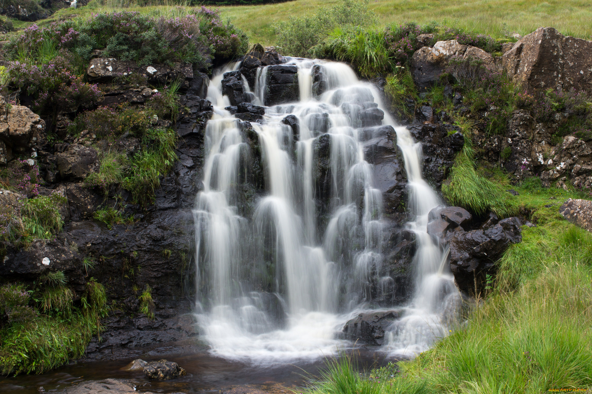 природа, водопады, лес, водопад, река