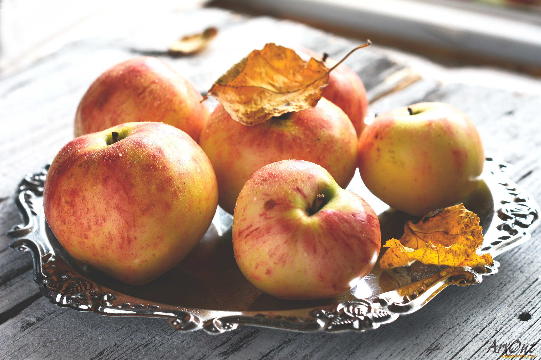 еда, Яблоки, листья, ветки, яблоки
