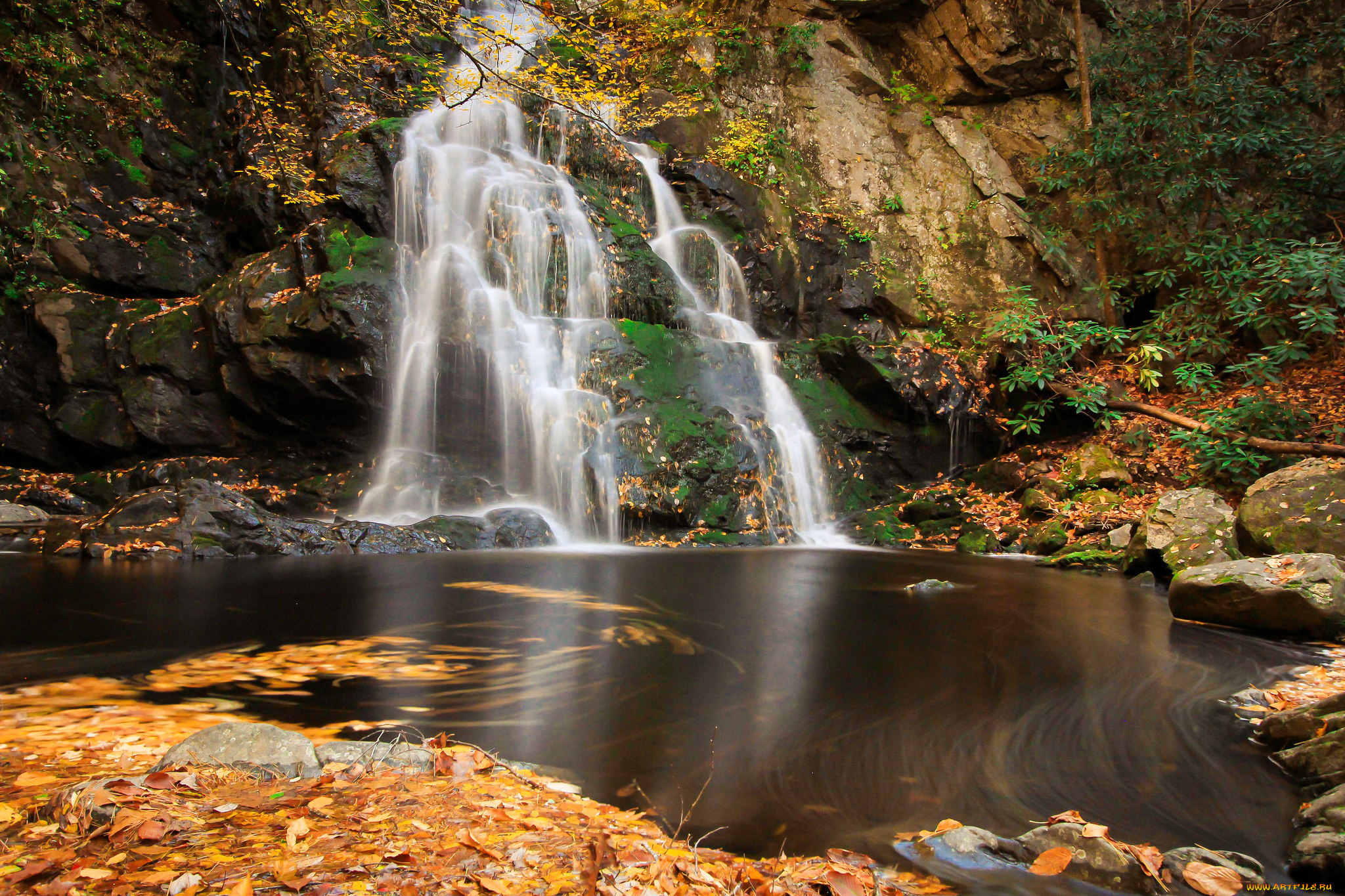 природа, водопады, лес, река, водопад