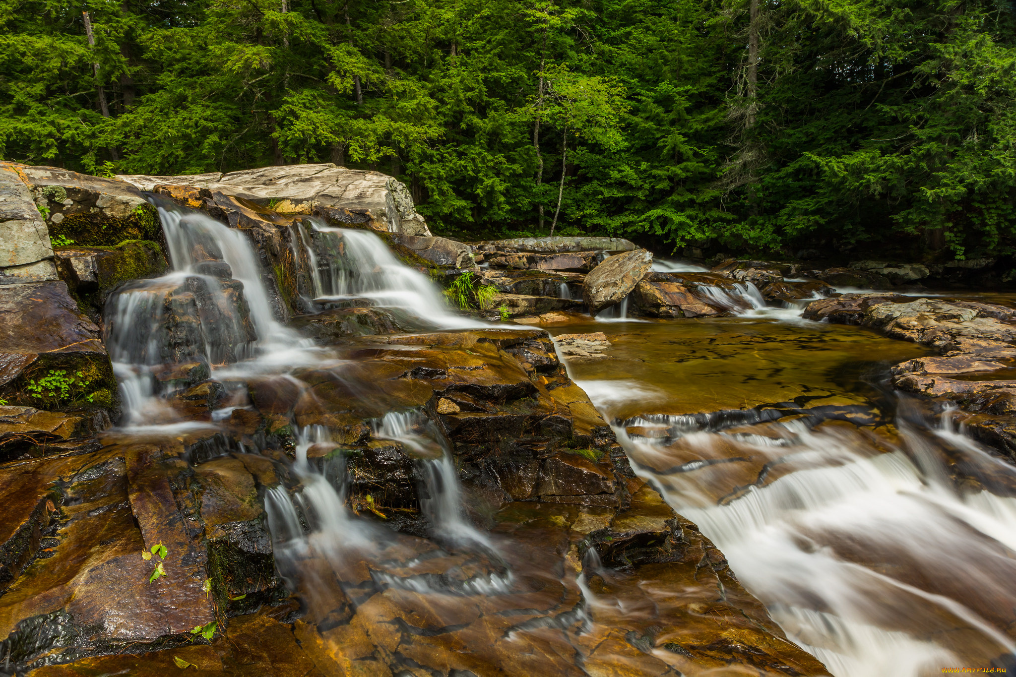 природа, водопады, лес, река, водопад