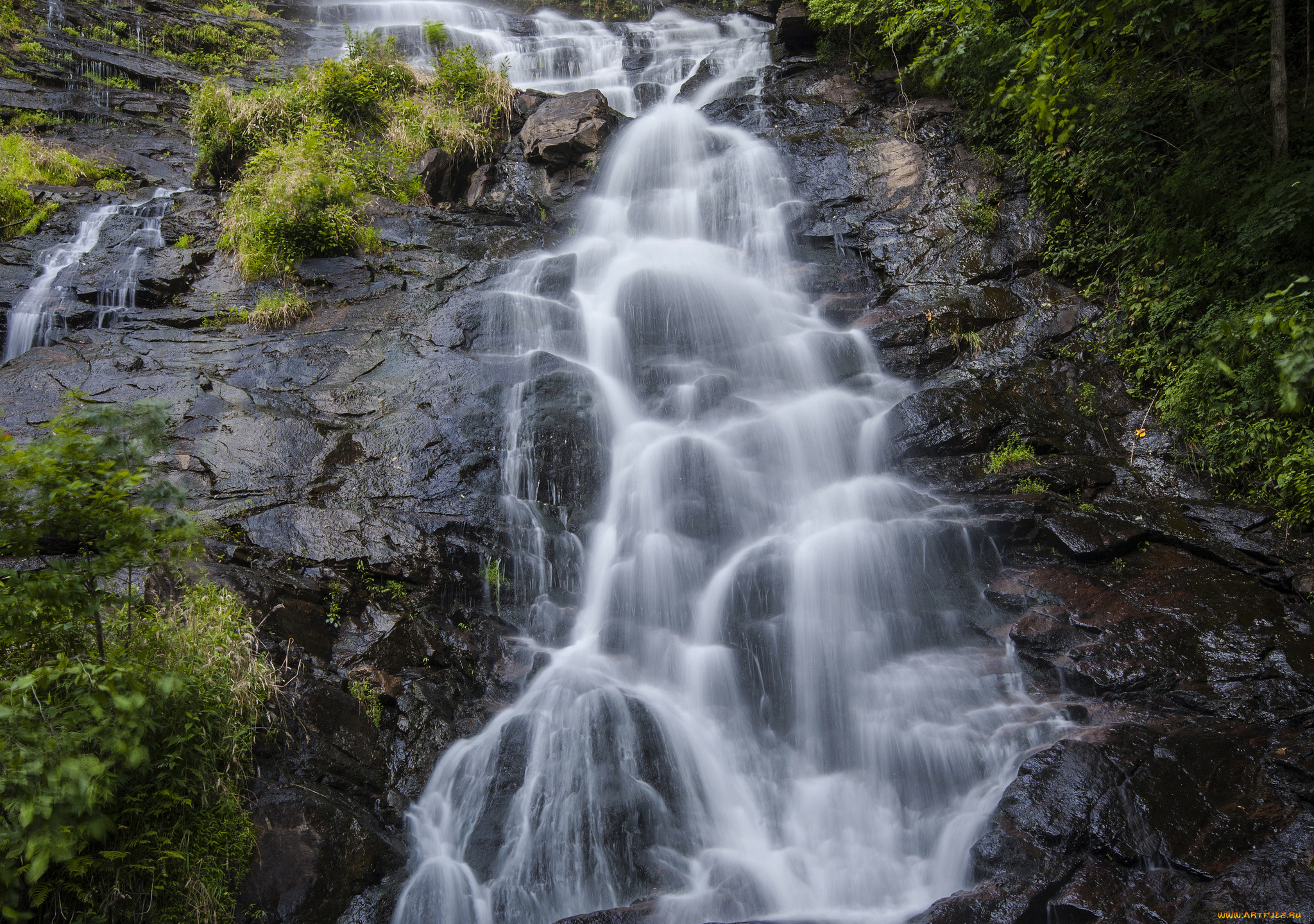 природа, водопады, лес, водопад, река