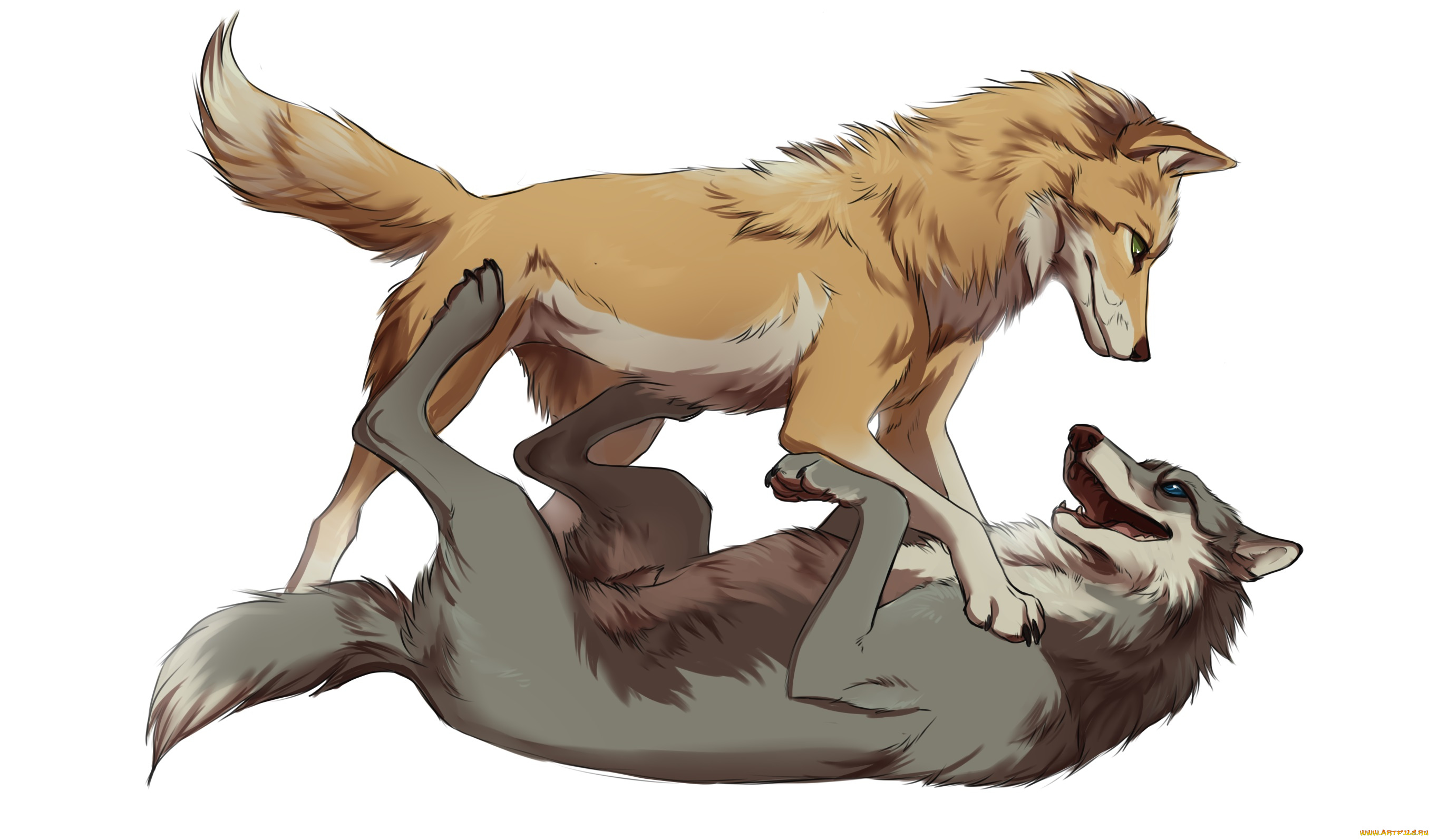 рисованные, животные, , собаки, фон, собаки