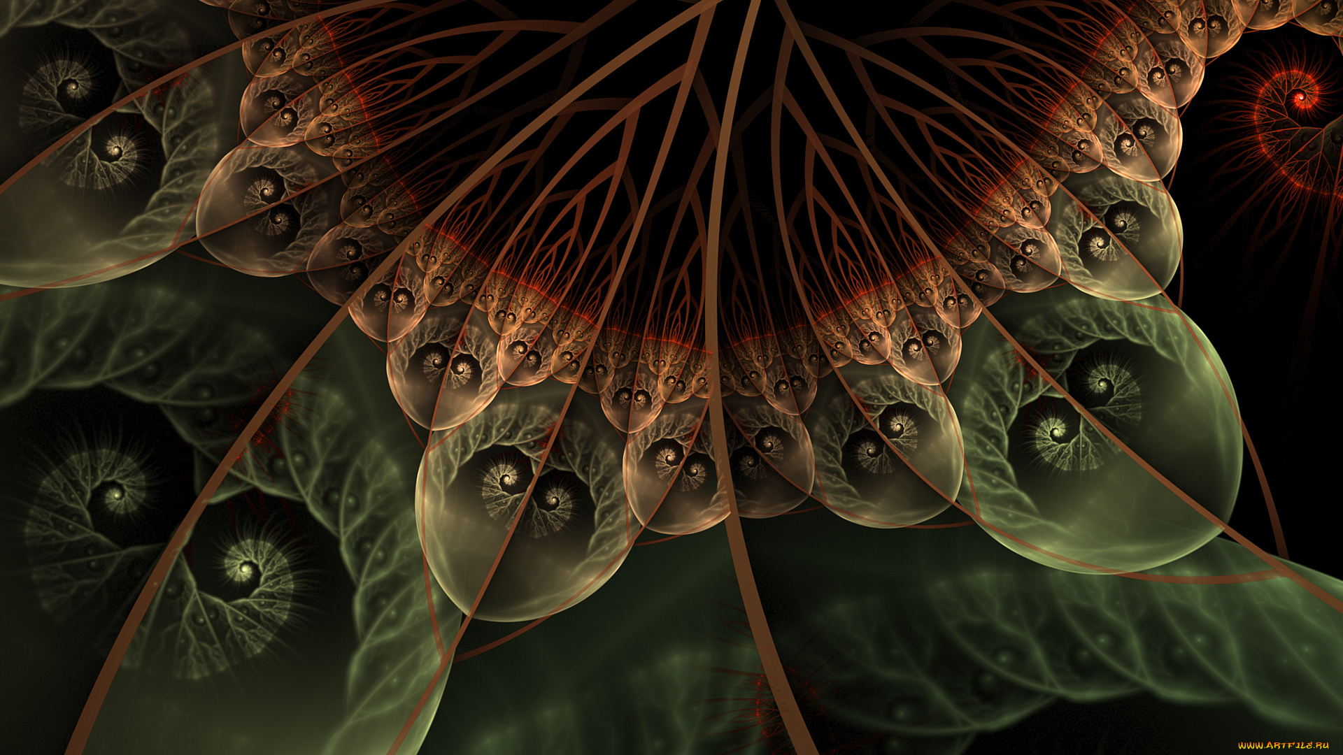 3д, графика, фракталы, , fractal, цвета, фон, узор