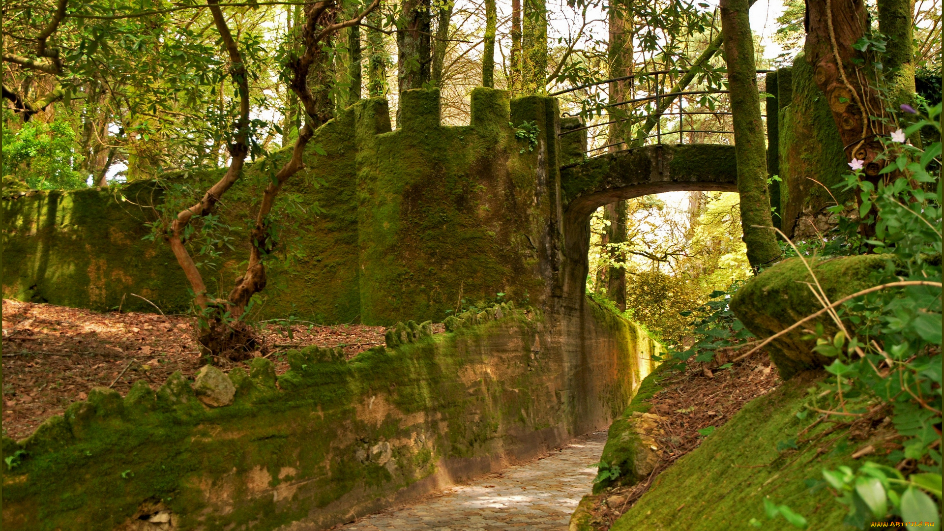 города, -, исторические, , архитектурные, памятники, деревья, дорожка, мох, лес, стена, мост