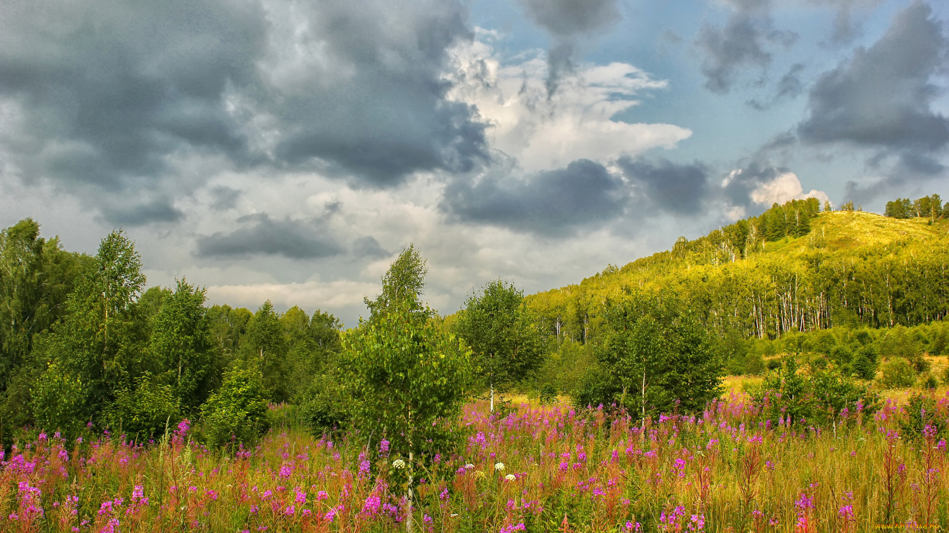 природа, луга, облака, небо, гора, деревья, луг, цветы, трава