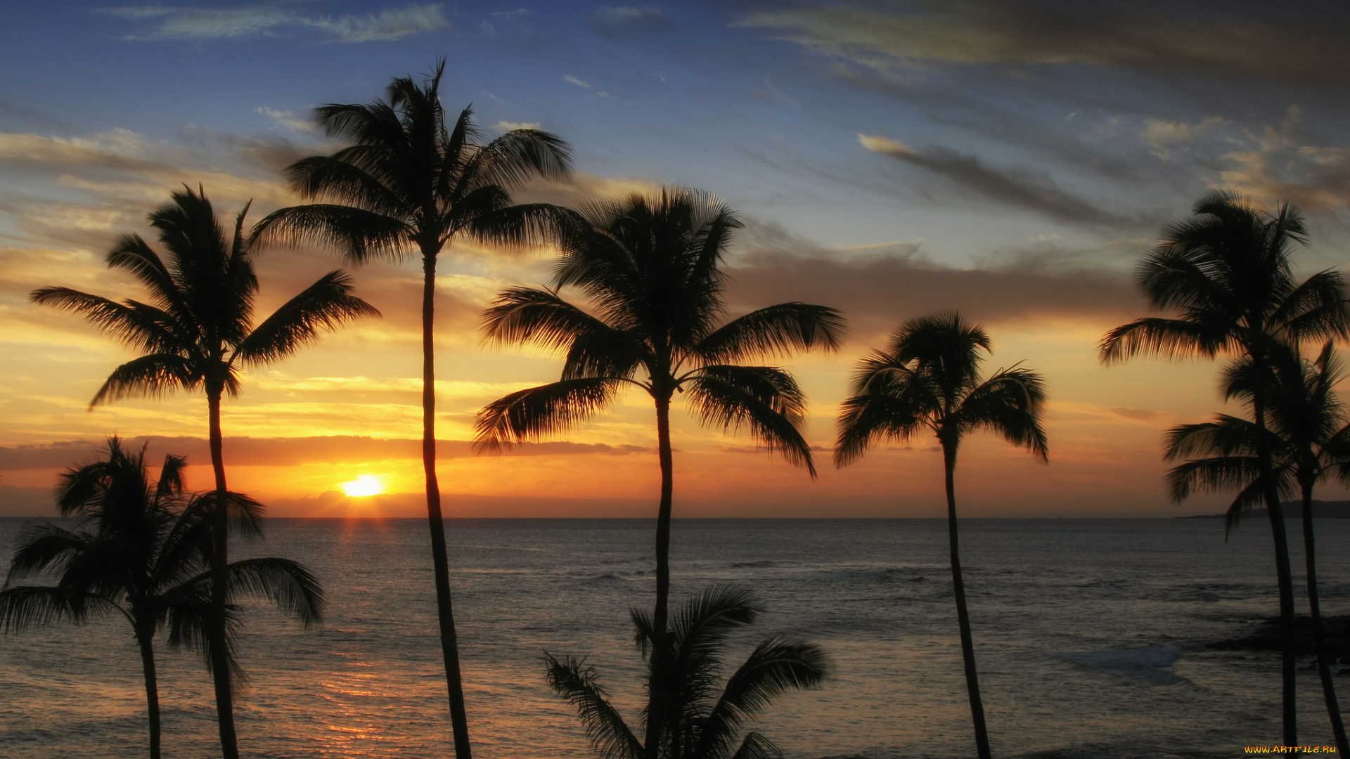 природа, тропики, заря, пальмы