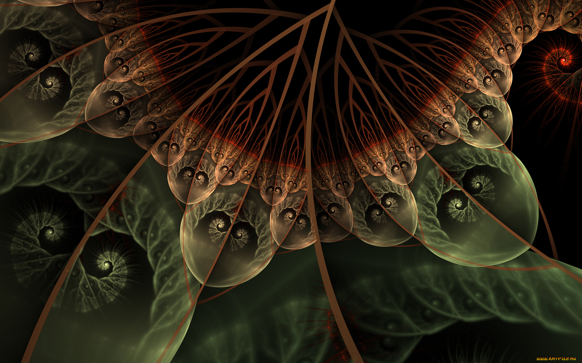 3д, графика, фракталы, , fractal, цвета, фон, узор