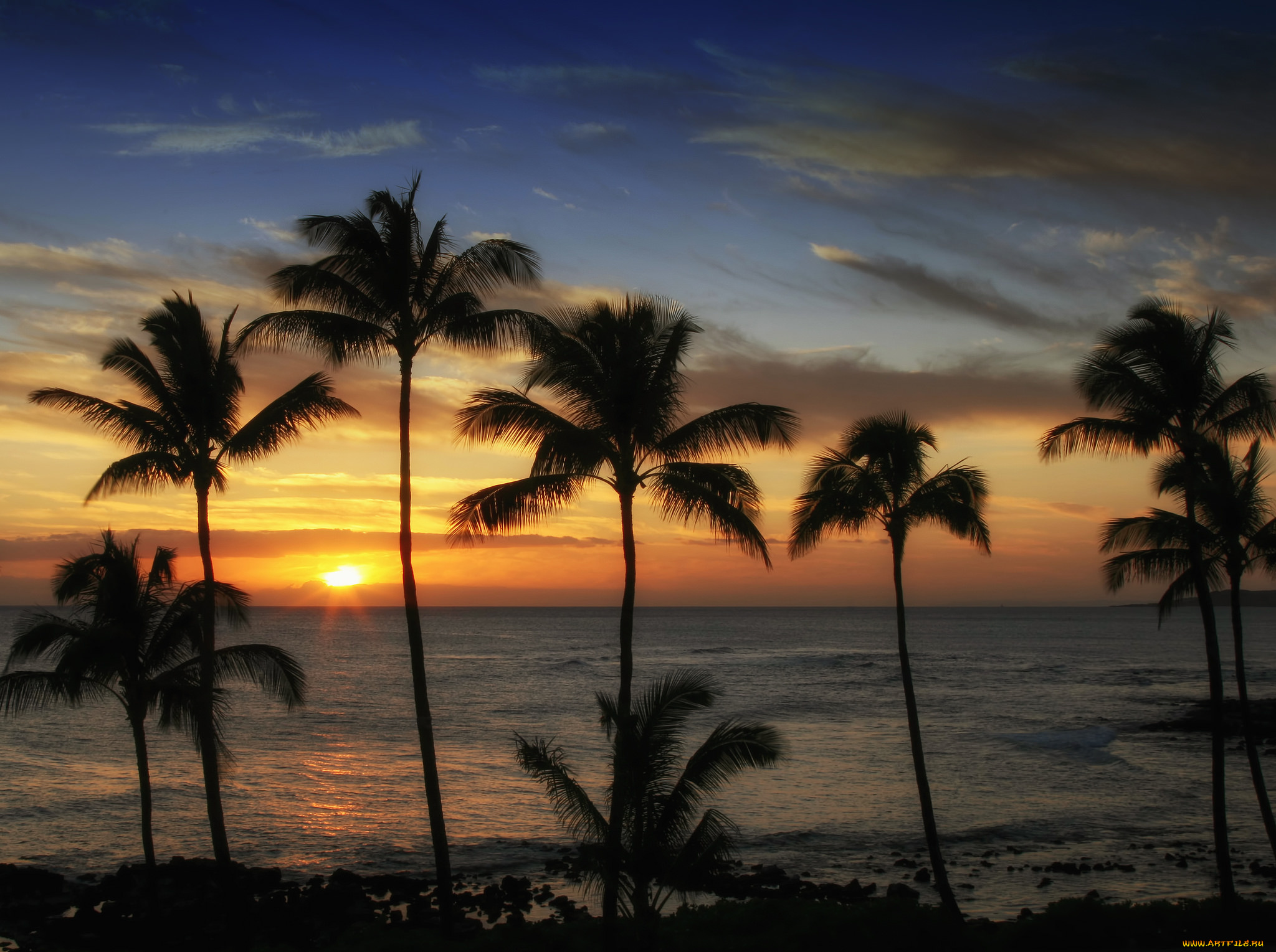 природа, тропики, заря, пальмы