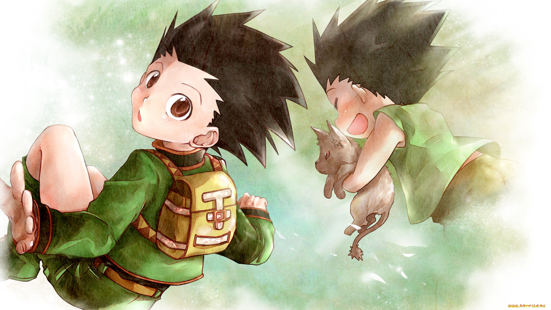 аниме, hunter, x, hunter, gon, freaks