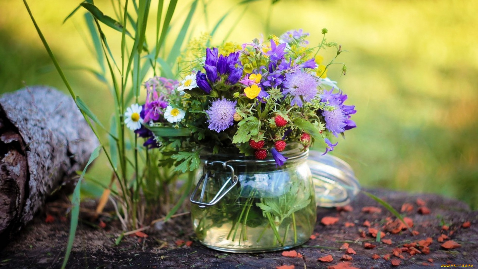 цветы, букеты, , композиции, древесная, кора, земляника, полевые, трава