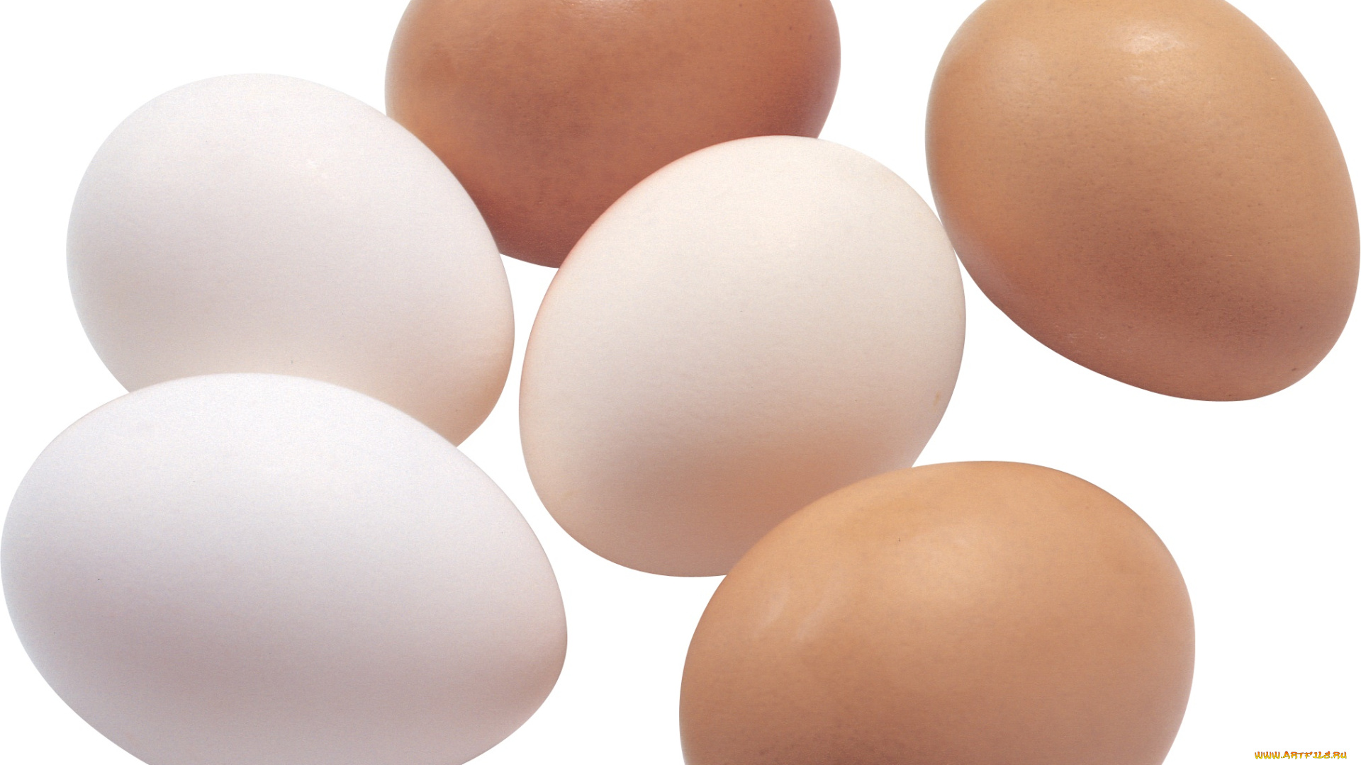 еда, Яйца, яйца