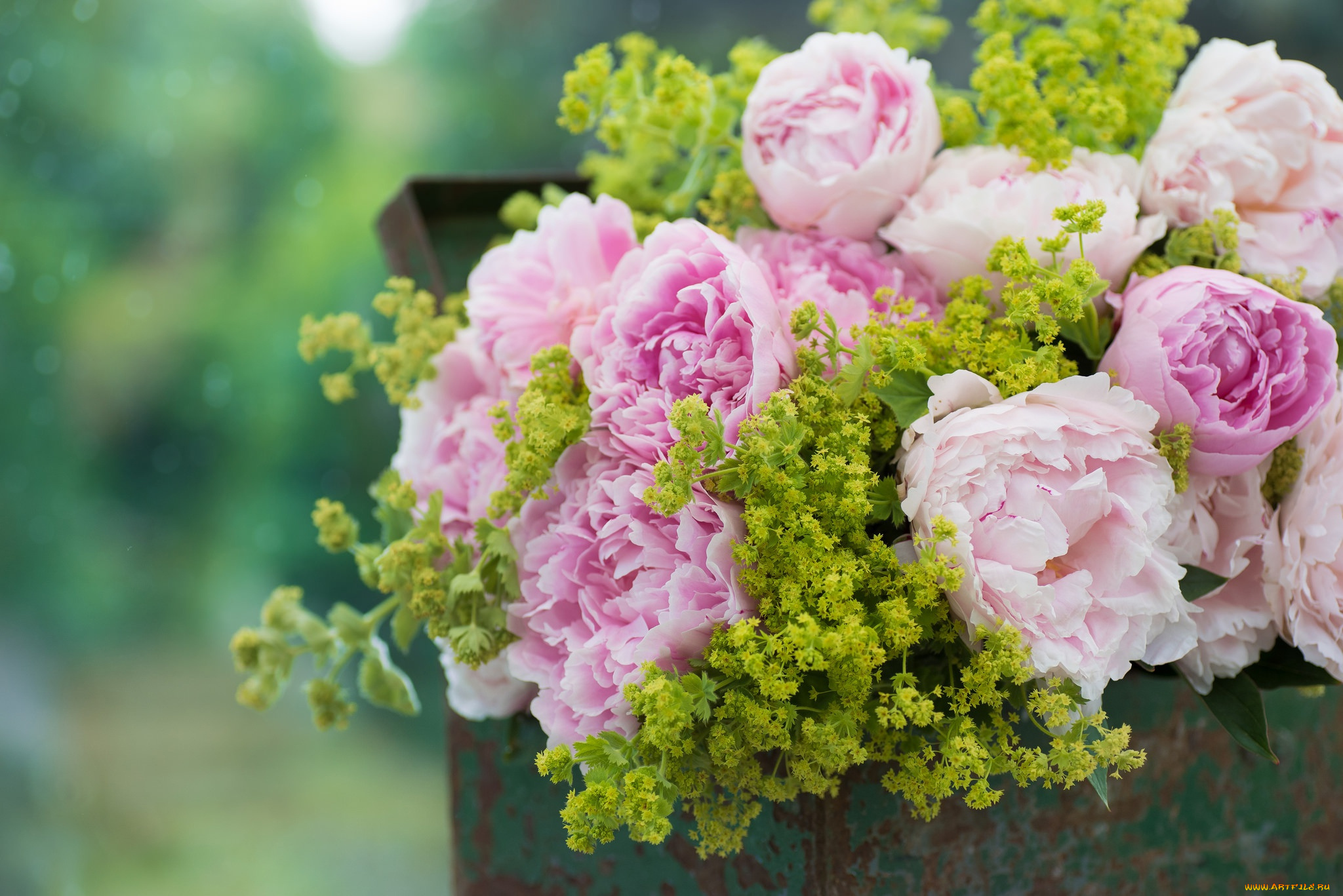 цветы, пионы, букет, ящик