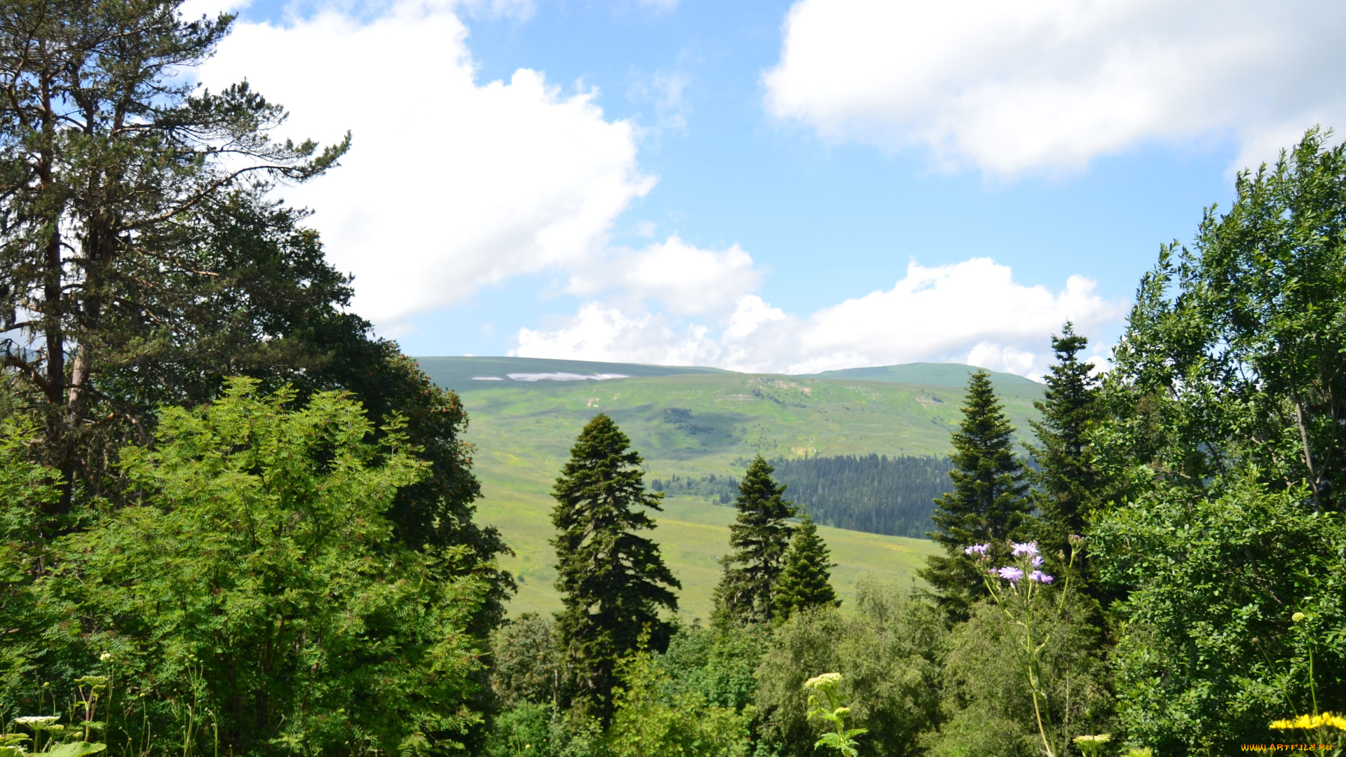 лаго-, наки, природа, горы, лаго-, наки, плато, кавказ, россия