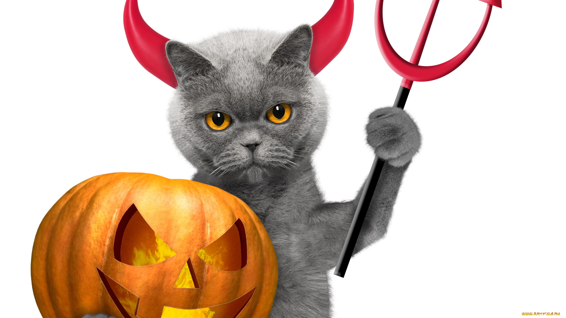 праздничные, хэллоуин, halloween