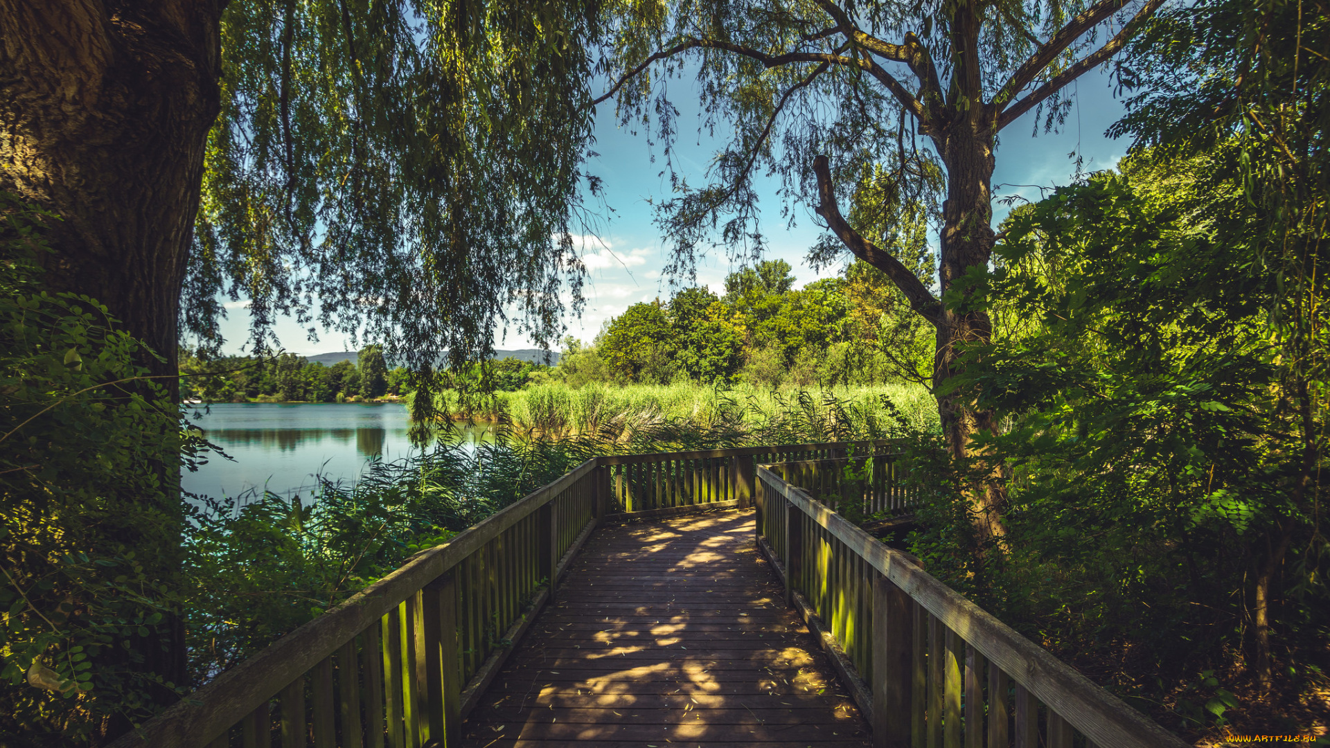 природа, дороги, простор