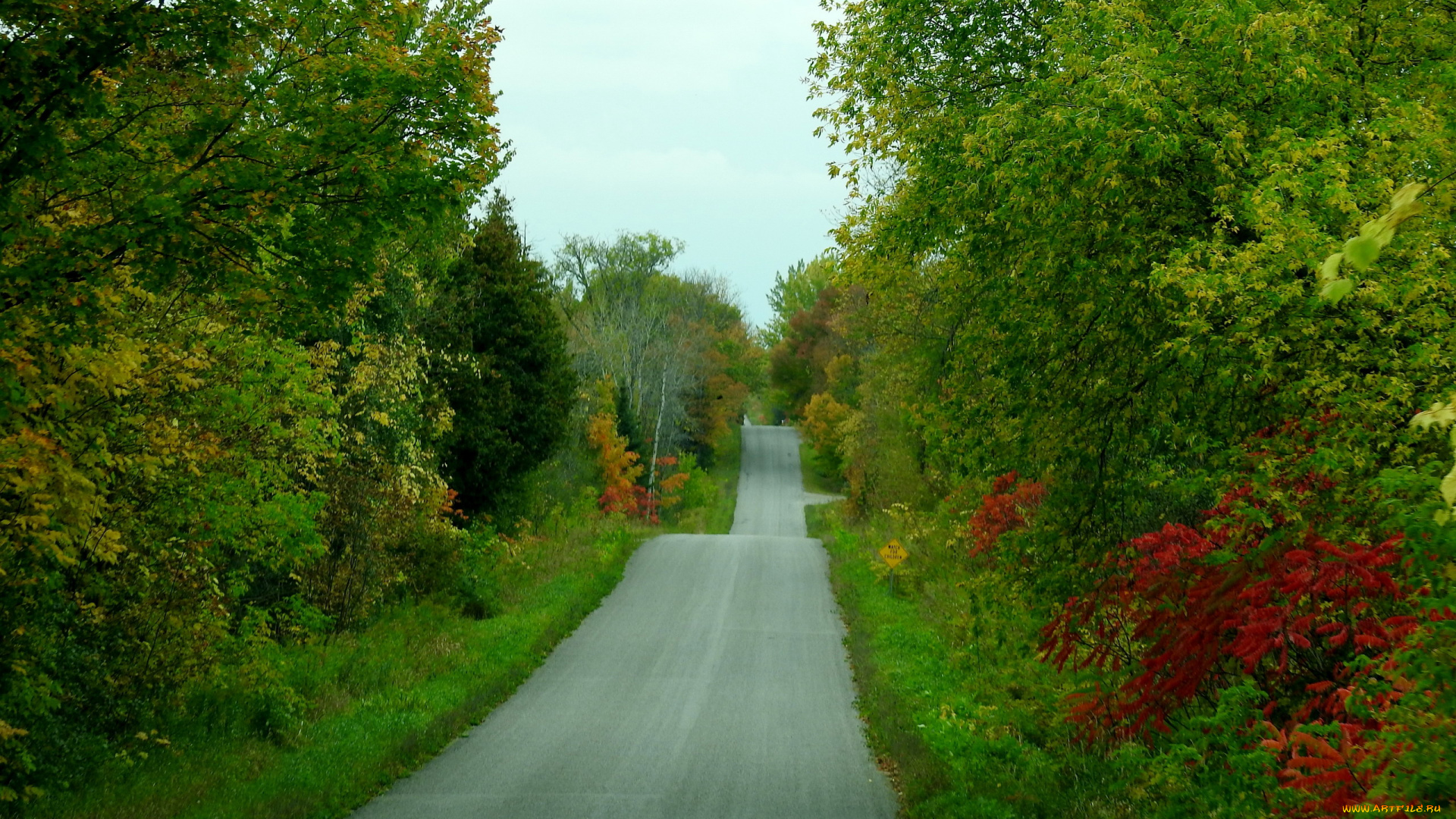 природа, дороги, шоссе