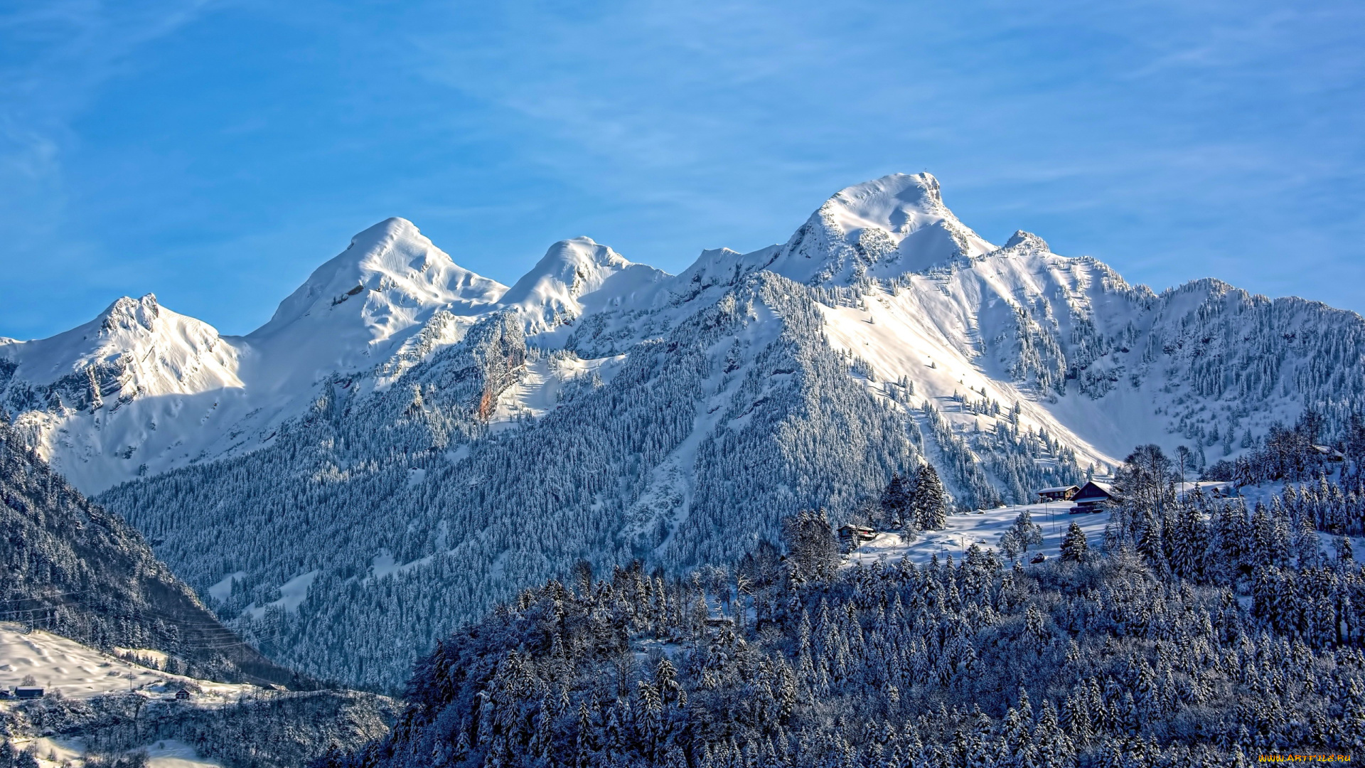 природа, горы, лес, снежные, вершины