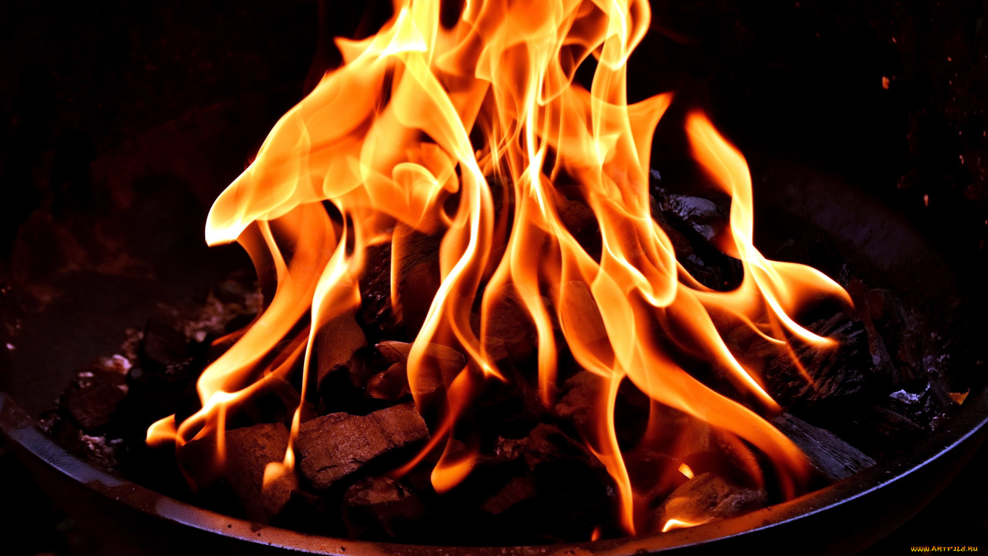 природа, огонь, пламя, костер
