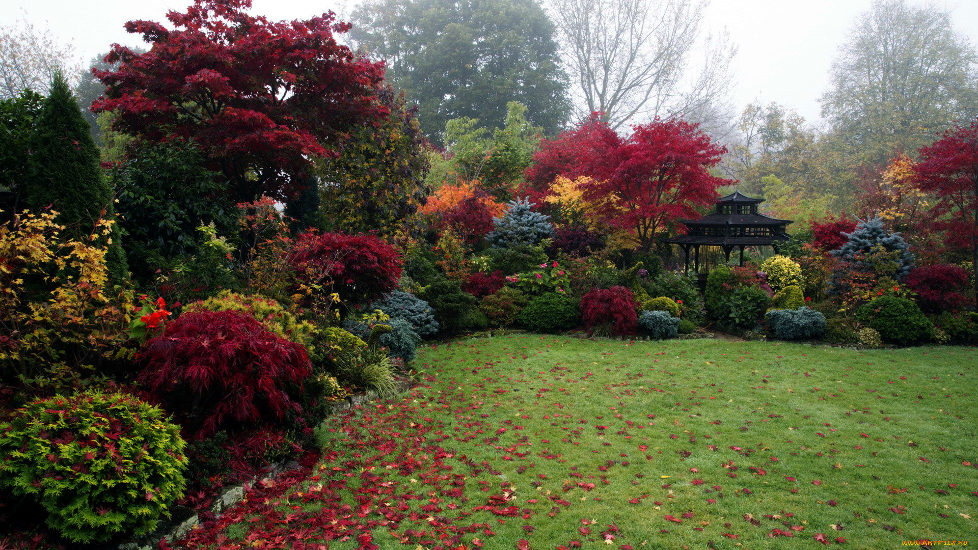 природа, парк, лужайка, беседка