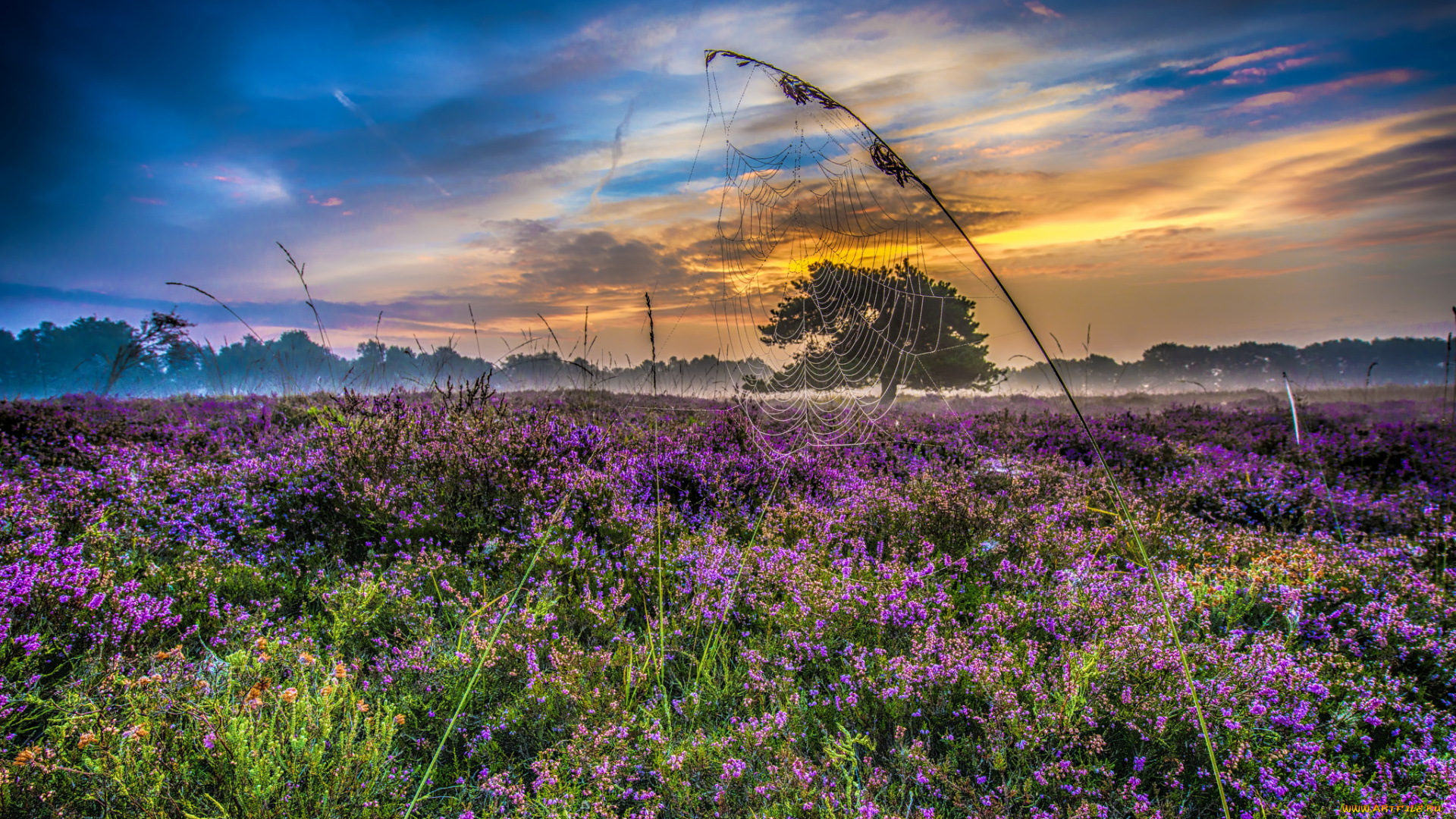 природа, пейзажи, простор
