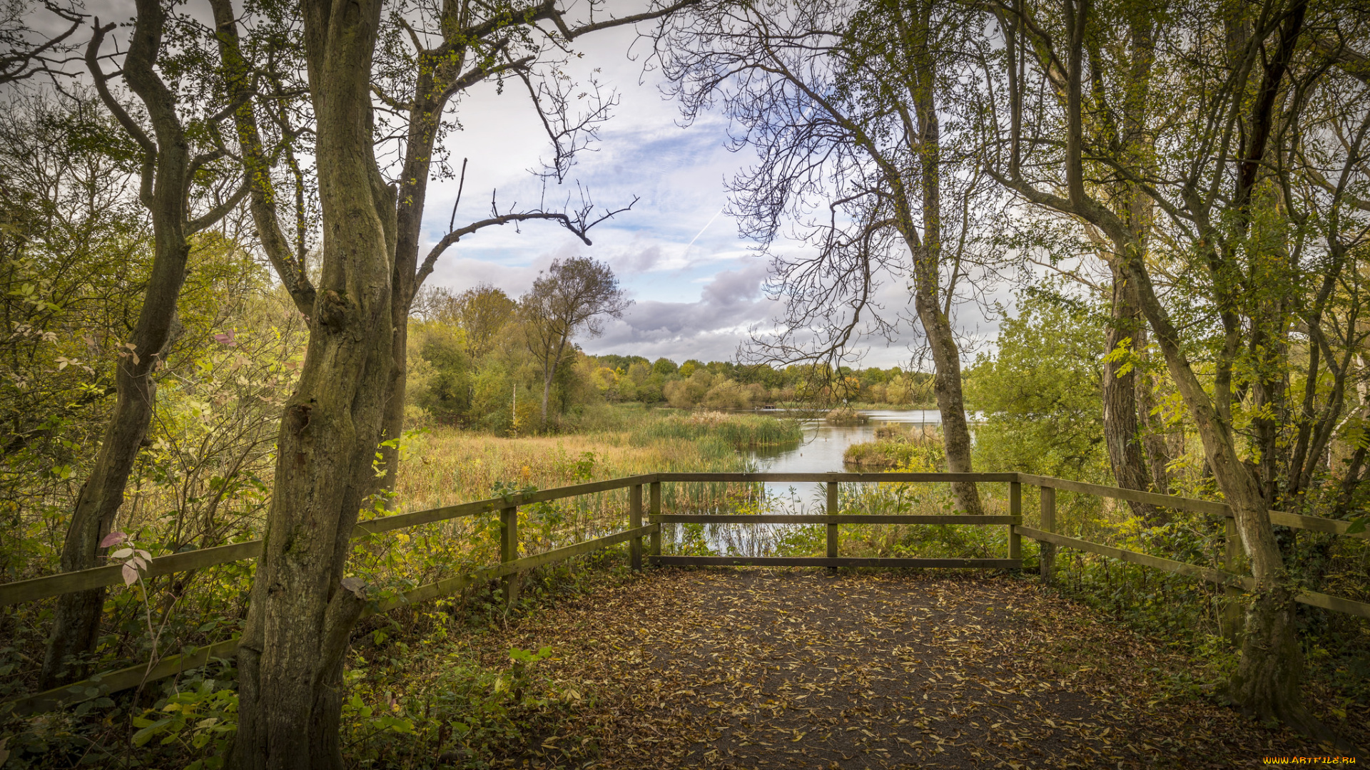 природа, пейзажи, простор