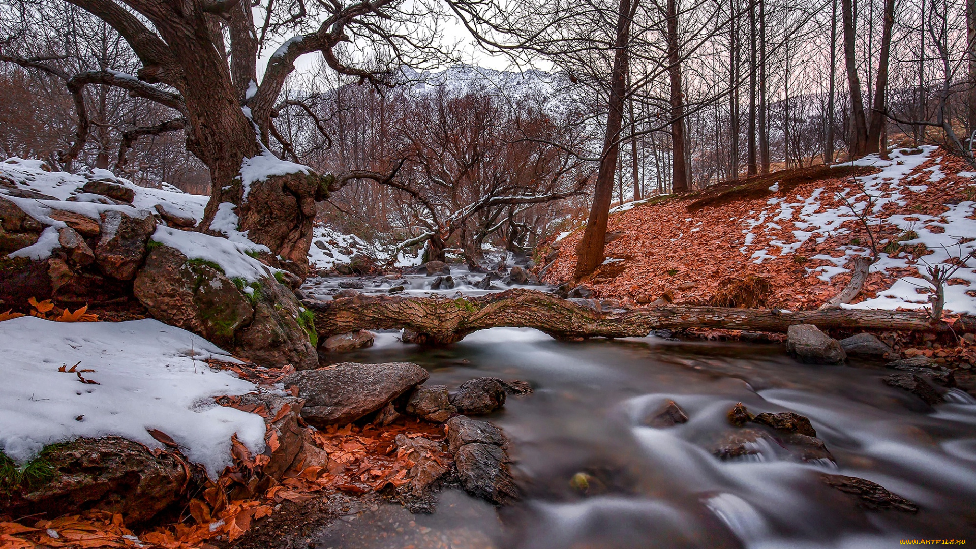 природа, реки, озера, пейзаж, течение, лес, осень, деревья, листья, ручей, камни