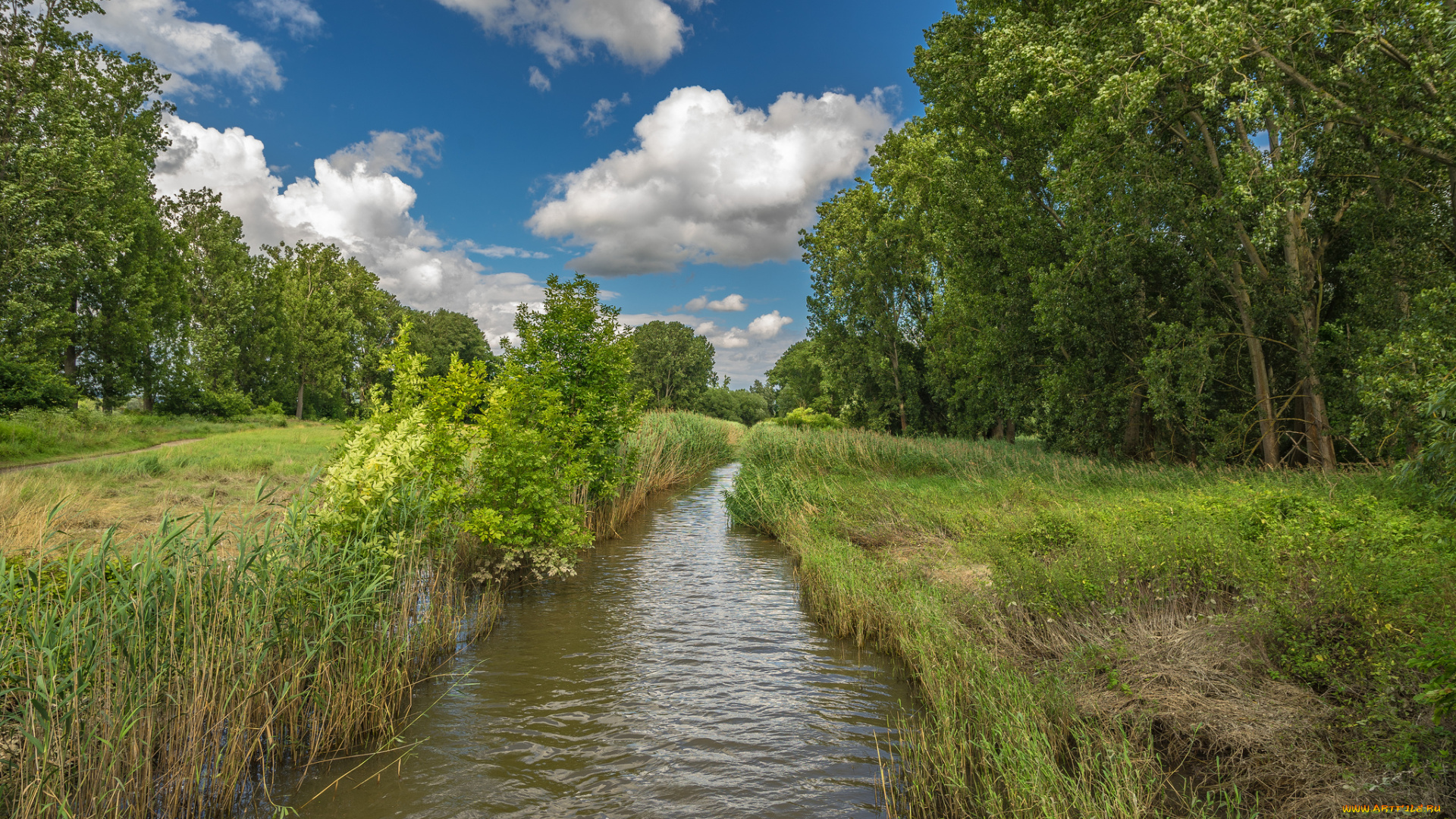 природа, реки, озера, простор