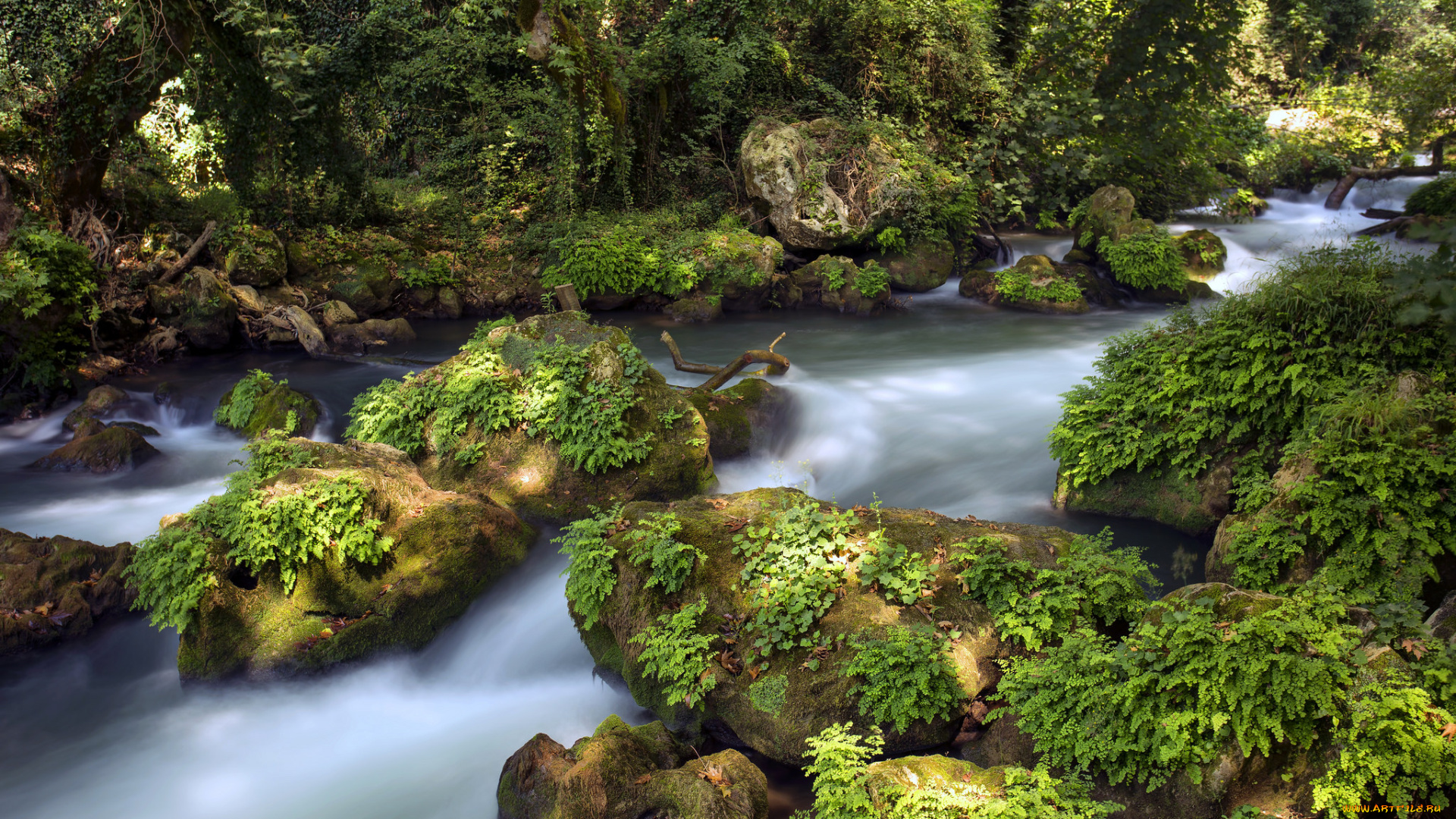 природа, реки, озера, простор