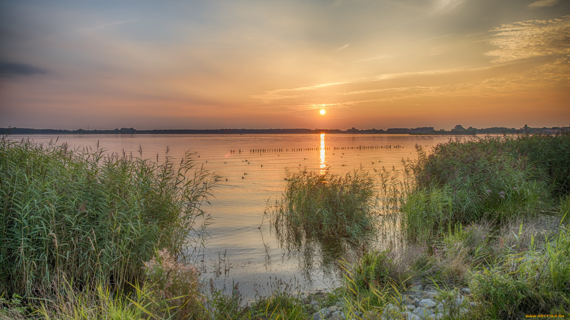 природа, реки, озера, простор