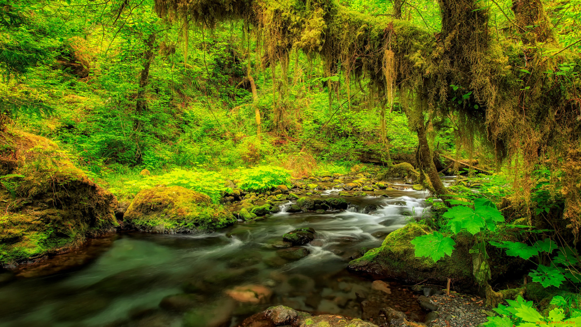 природа, реки, озера, простор