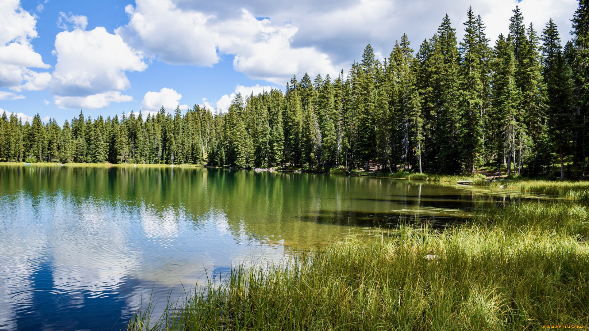 природа, реки, озера, простор