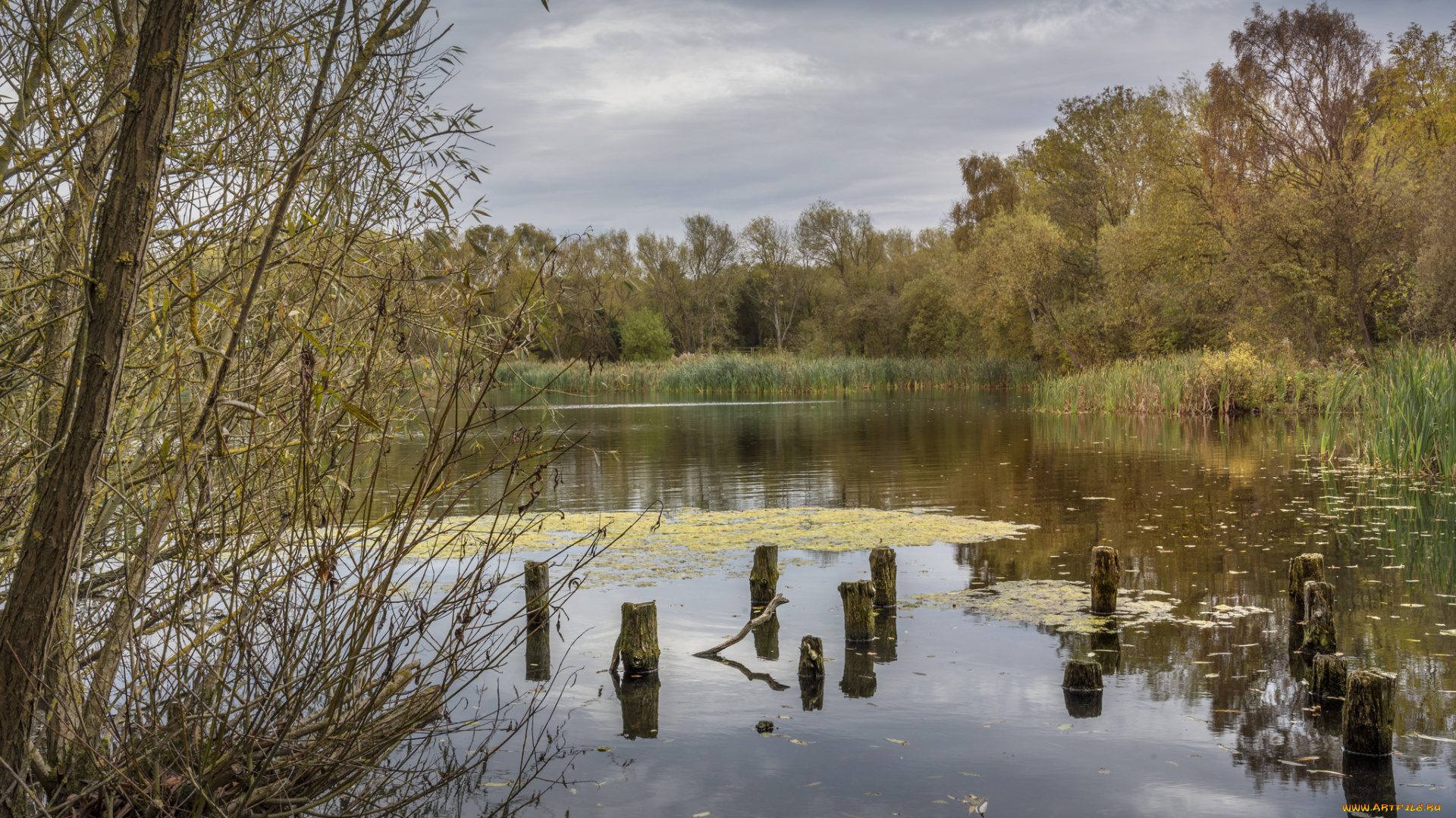 природа, реки, озера, простор