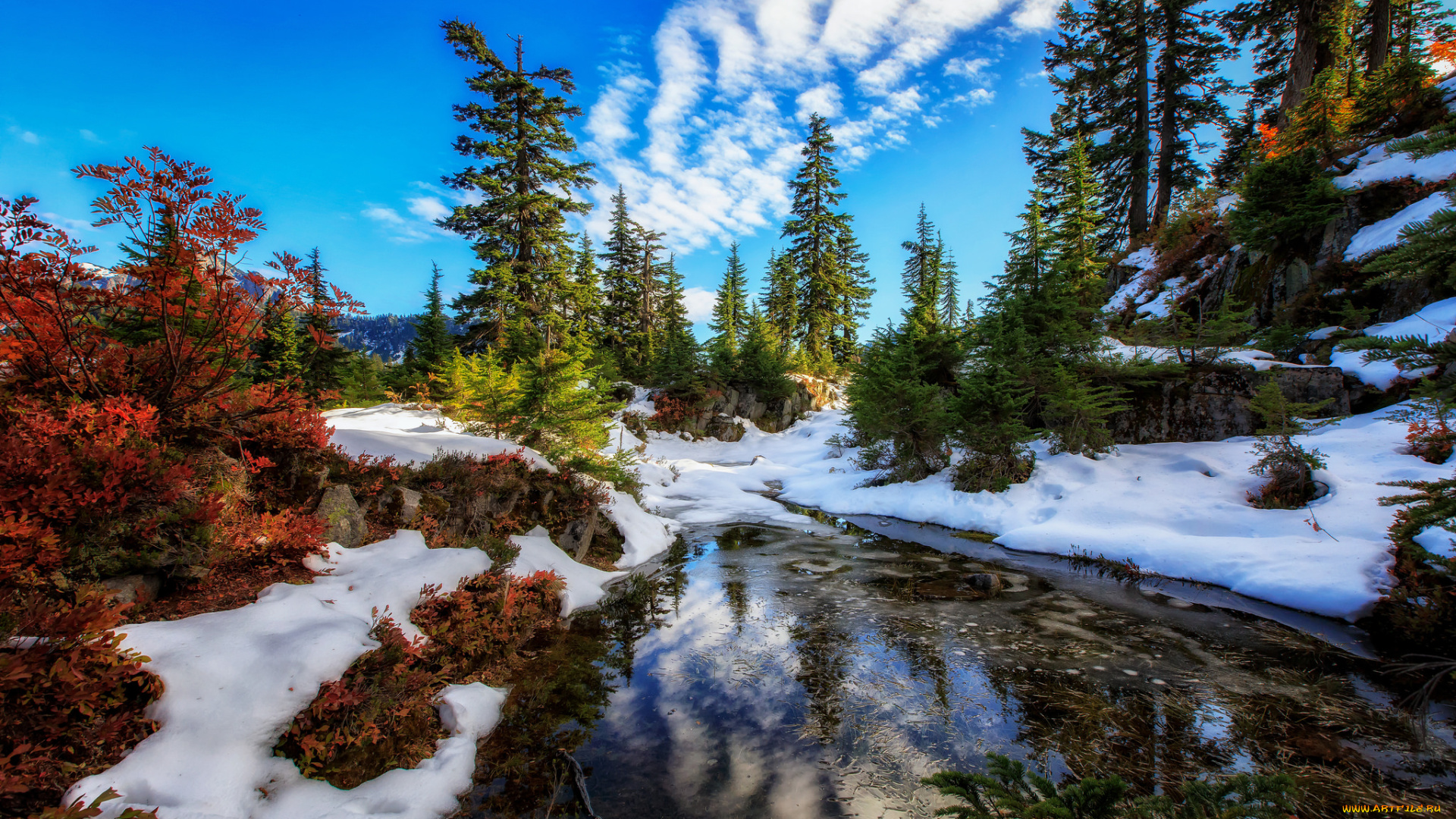 природа, реки, озера, простор