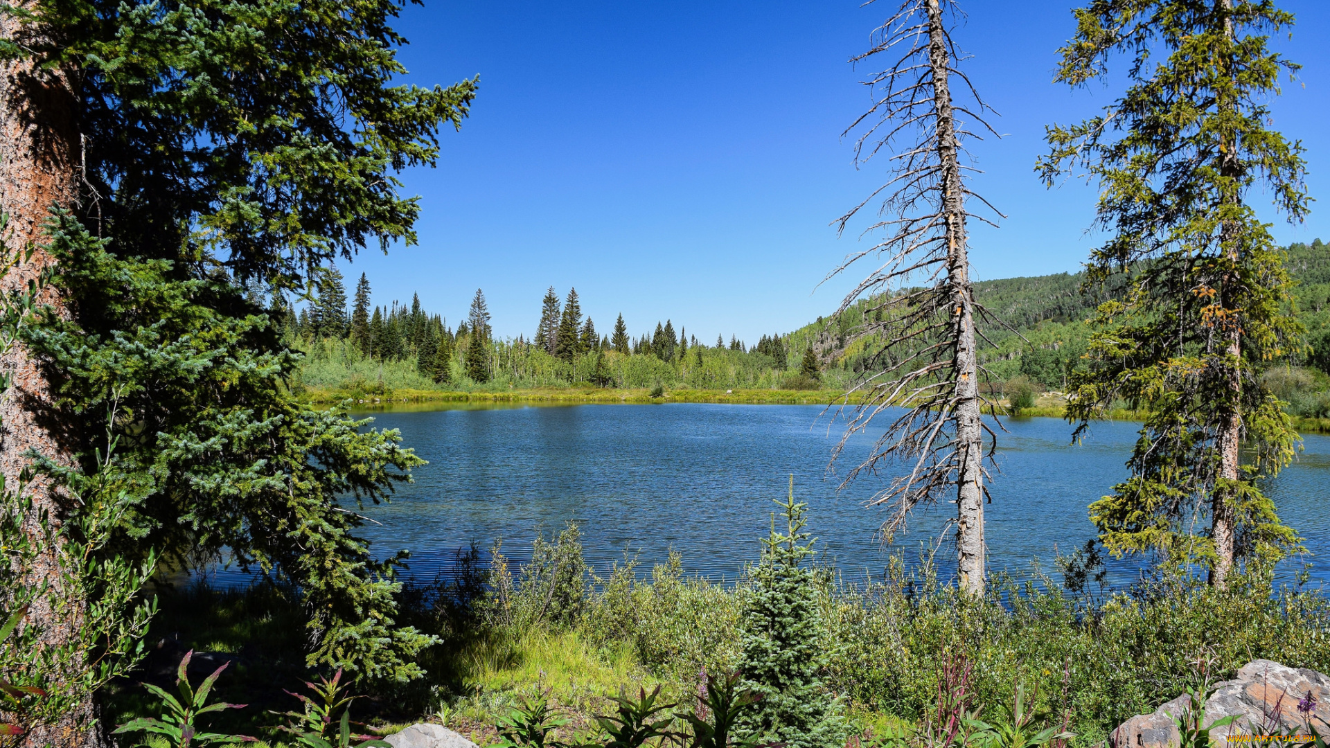 природа, реки, озера, простор