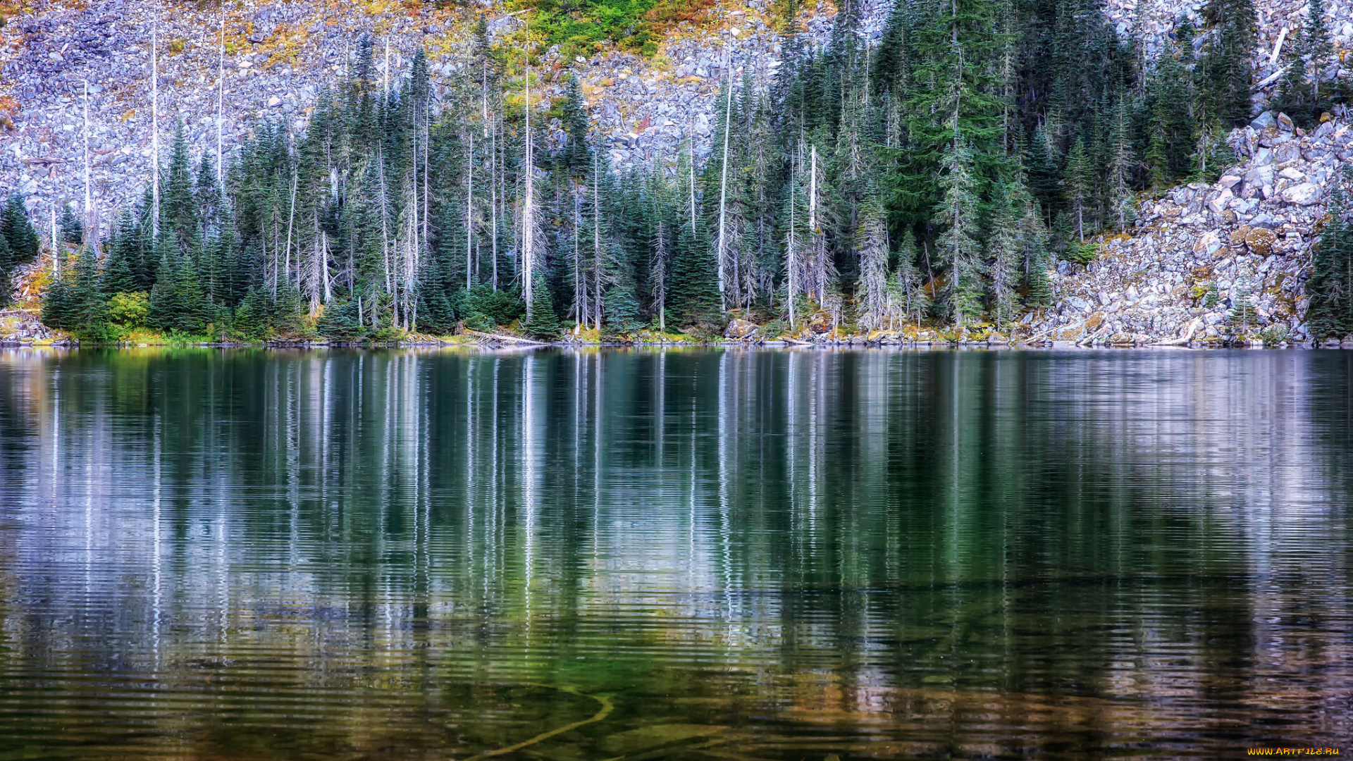 природа, реки, озера, простор