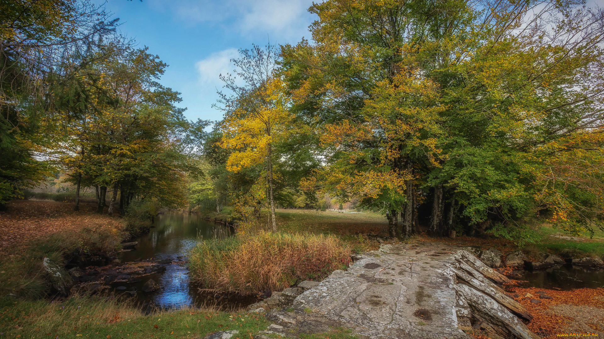 природа, реки, озера, простор