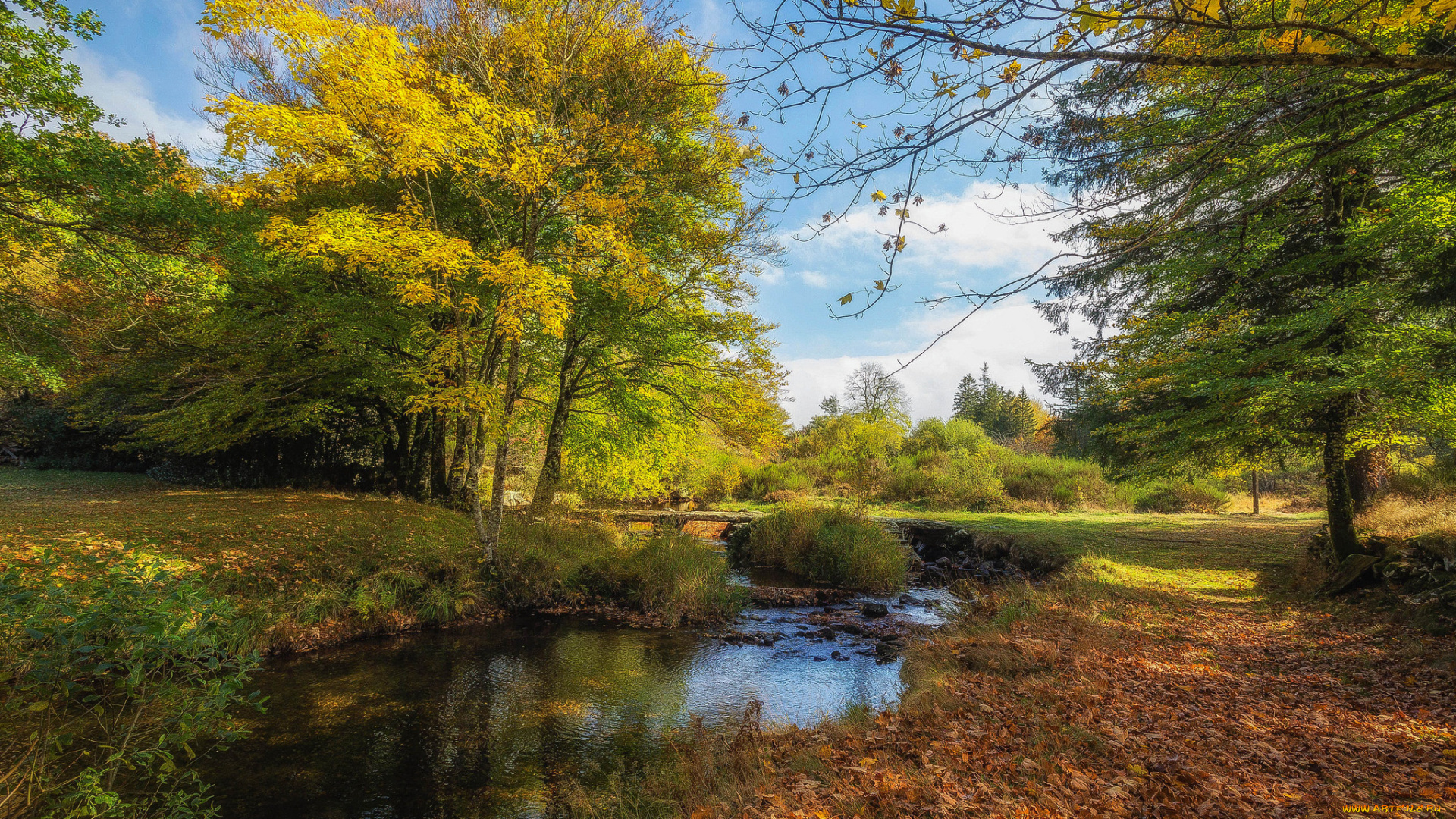 природа, реки, озера, простор