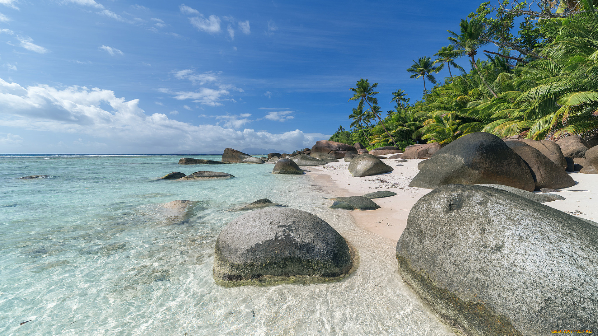 природа, тропики, море, пальмы, пляж, побережье