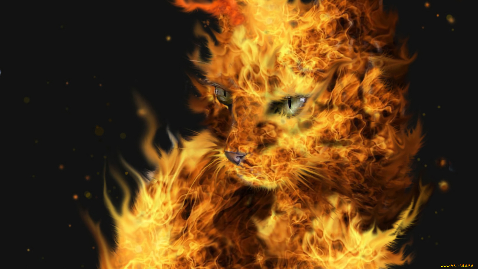 разное, компьютерный, дизайн, кот