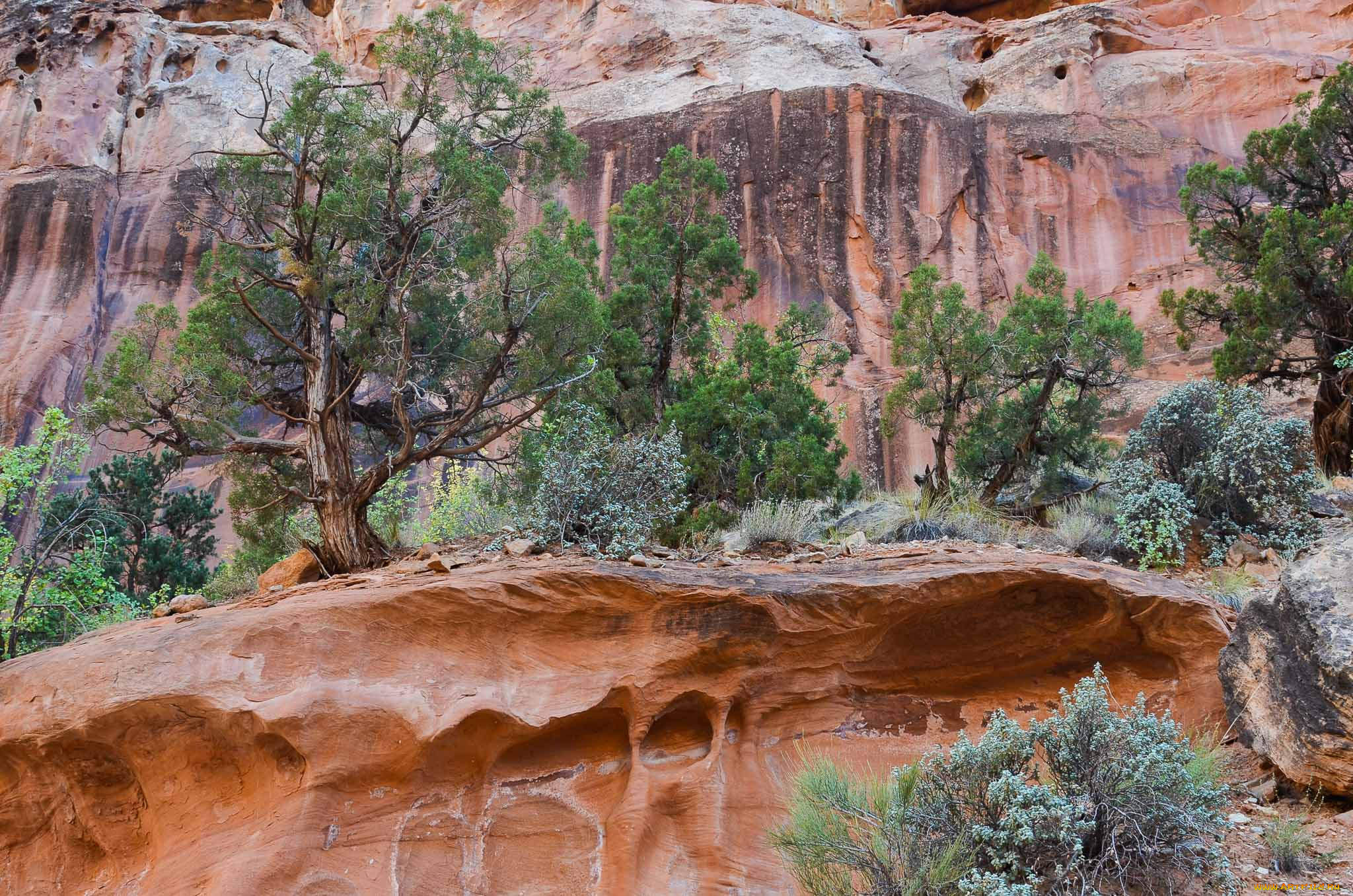 природа, горы, простор