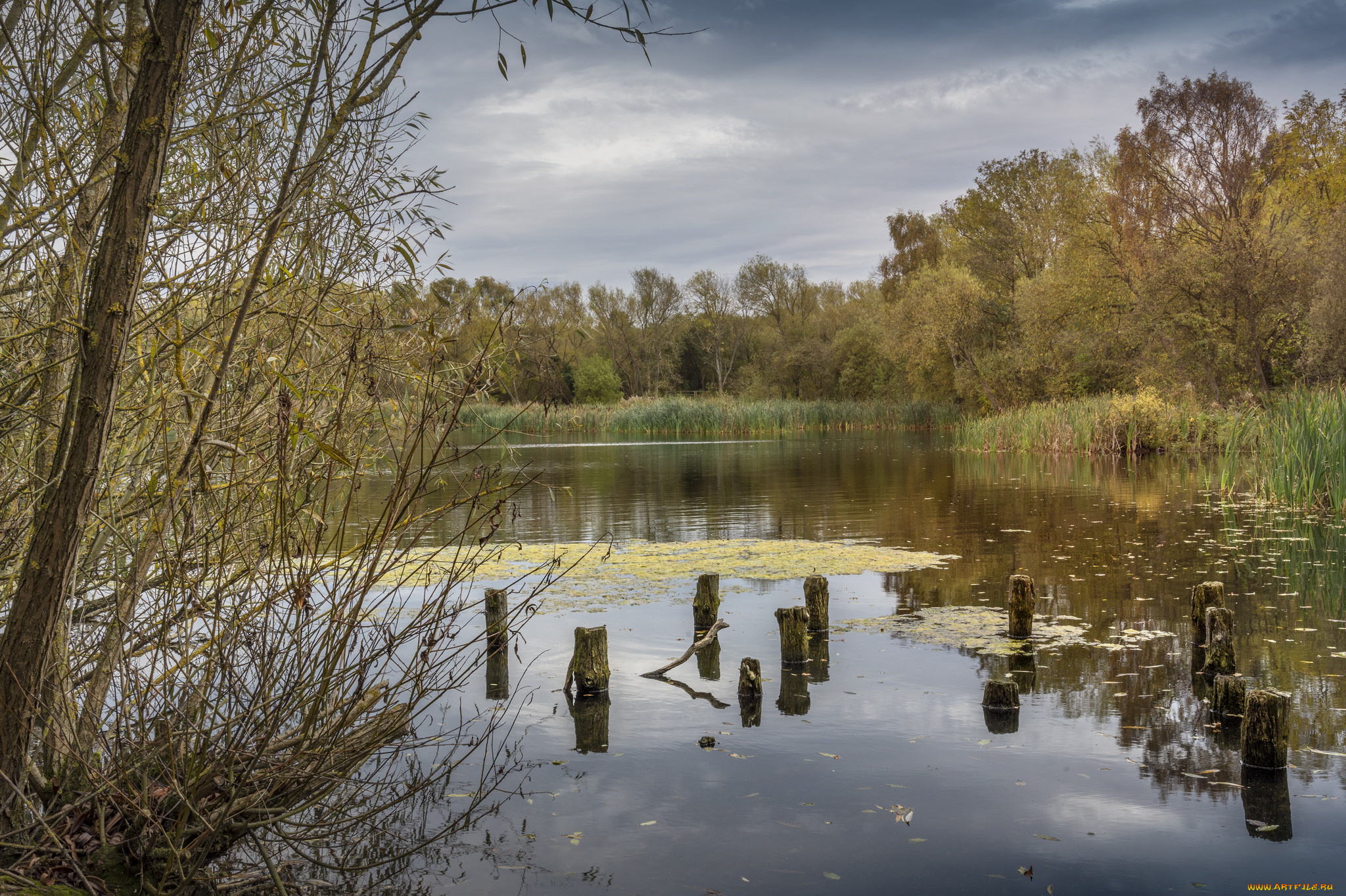 природа, реки, озера, простор