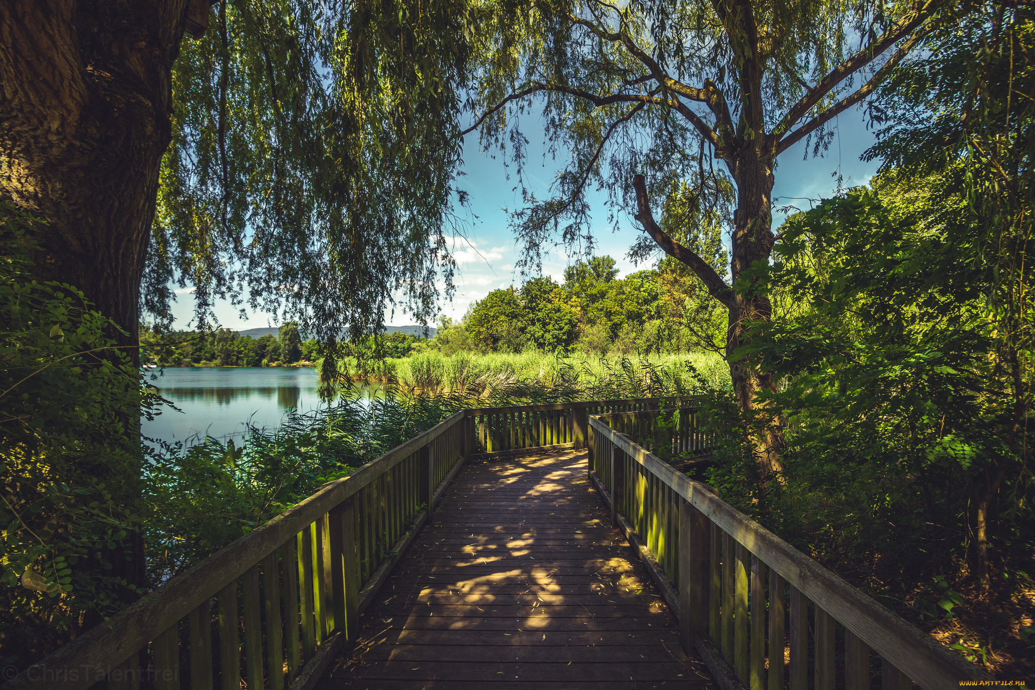 природа, дороги, простор