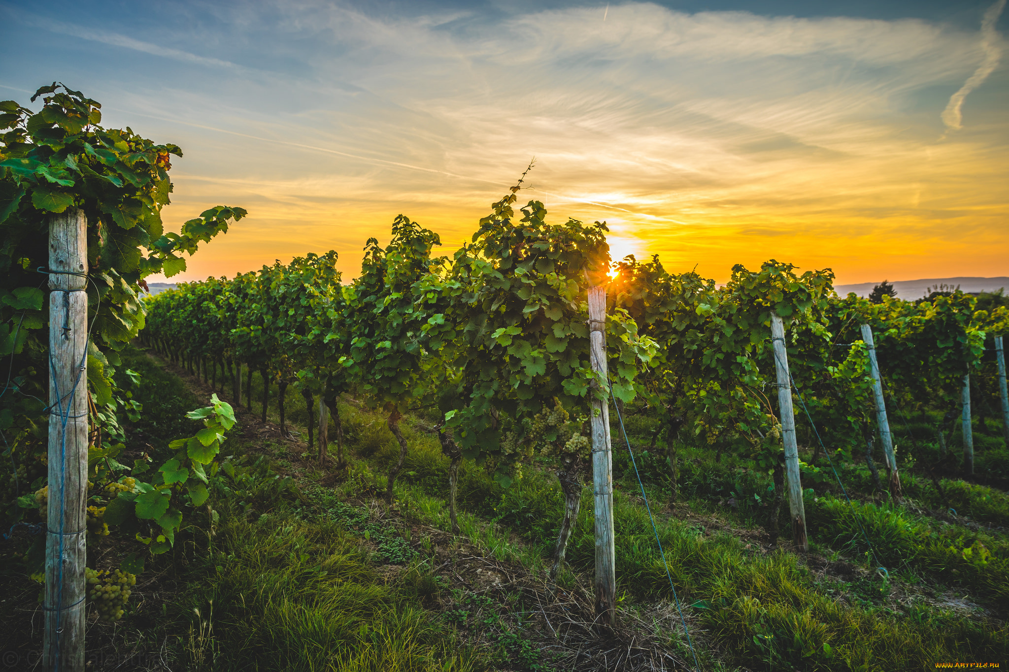 природа, пейзажи, простор