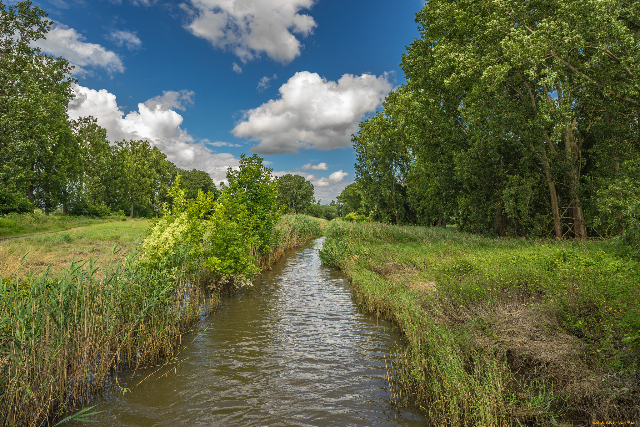 природа, реки, озера, простор