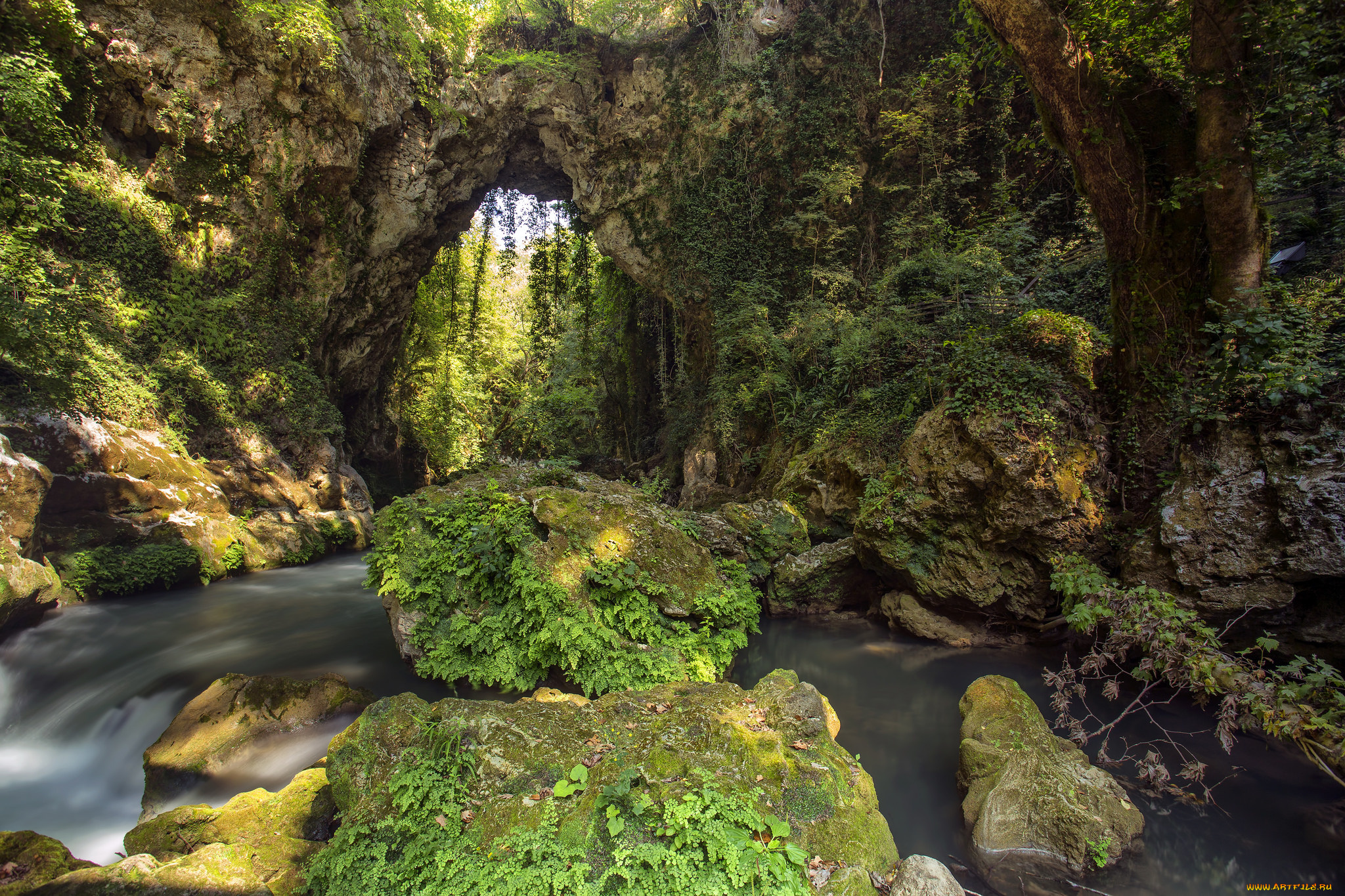 природа, реки, озера, простор