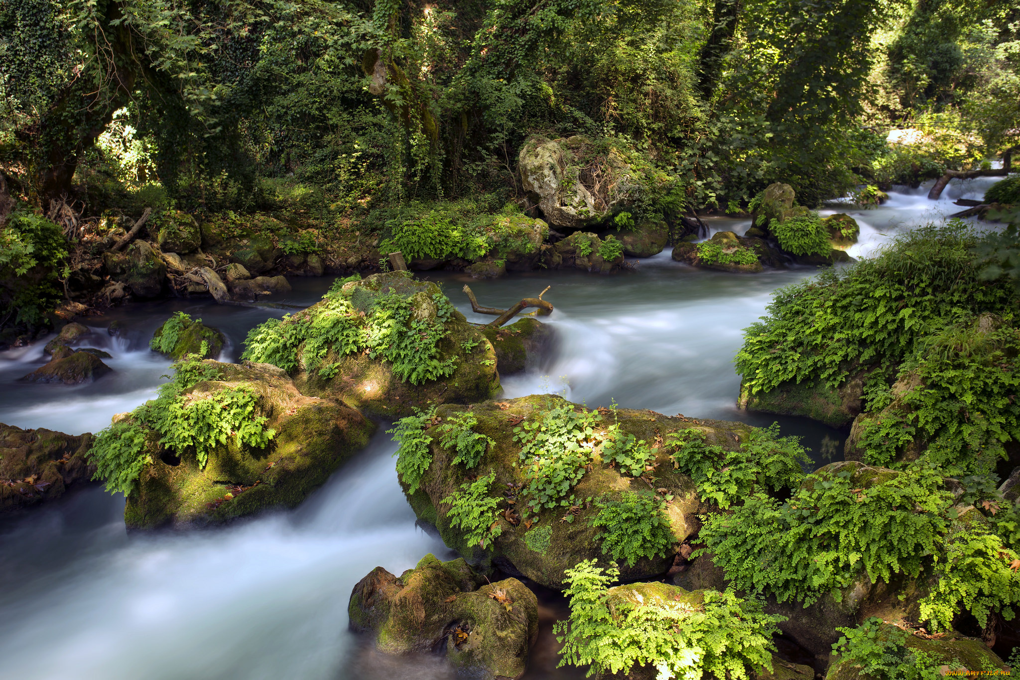 природа, реки, озера, простор