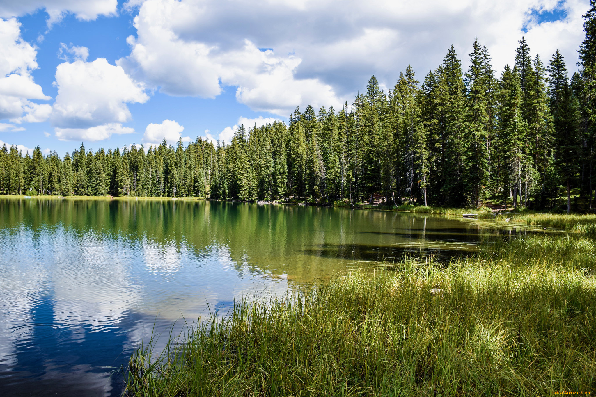 природа, реки, озера, простор