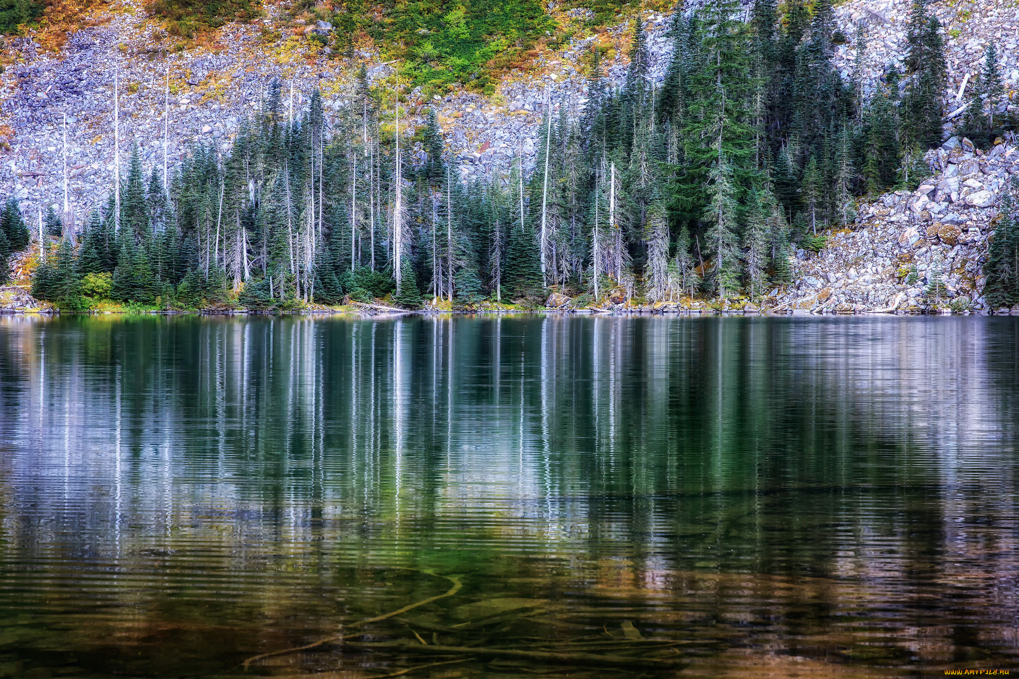 природа, реки, озера, простор