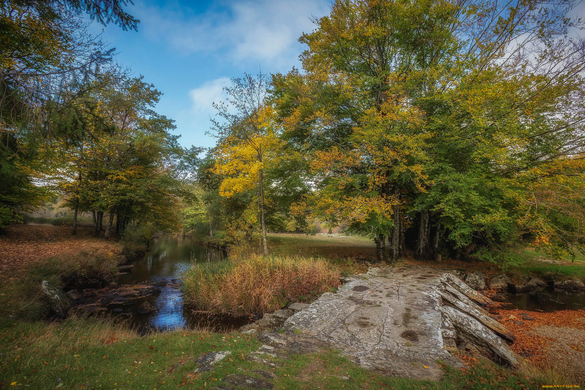 природа, реки, озера, простор