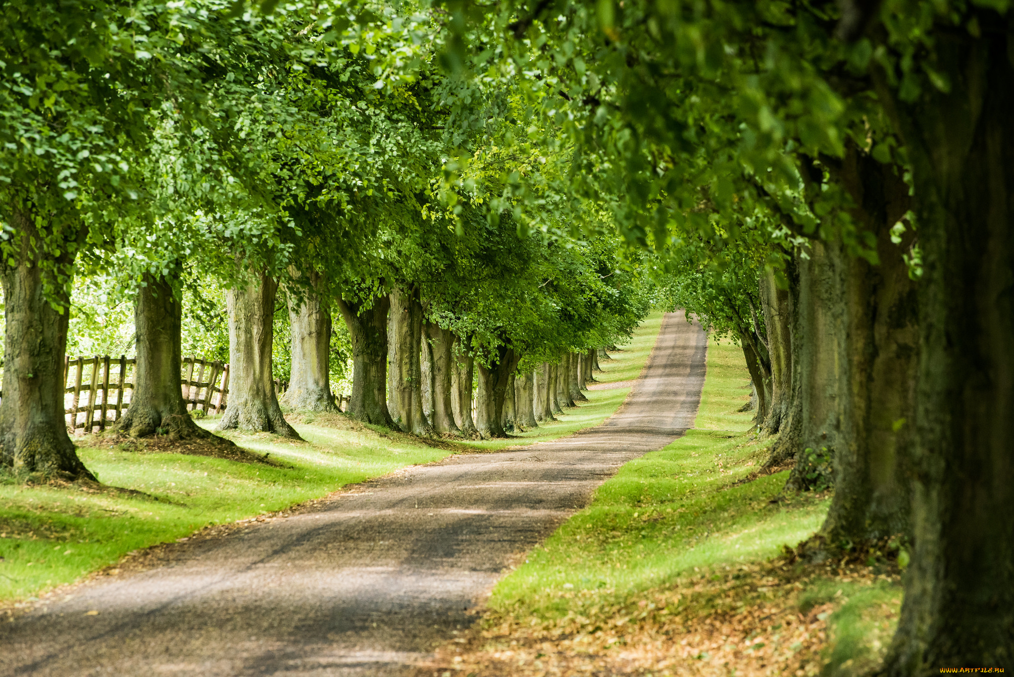 природа, дороги, простор